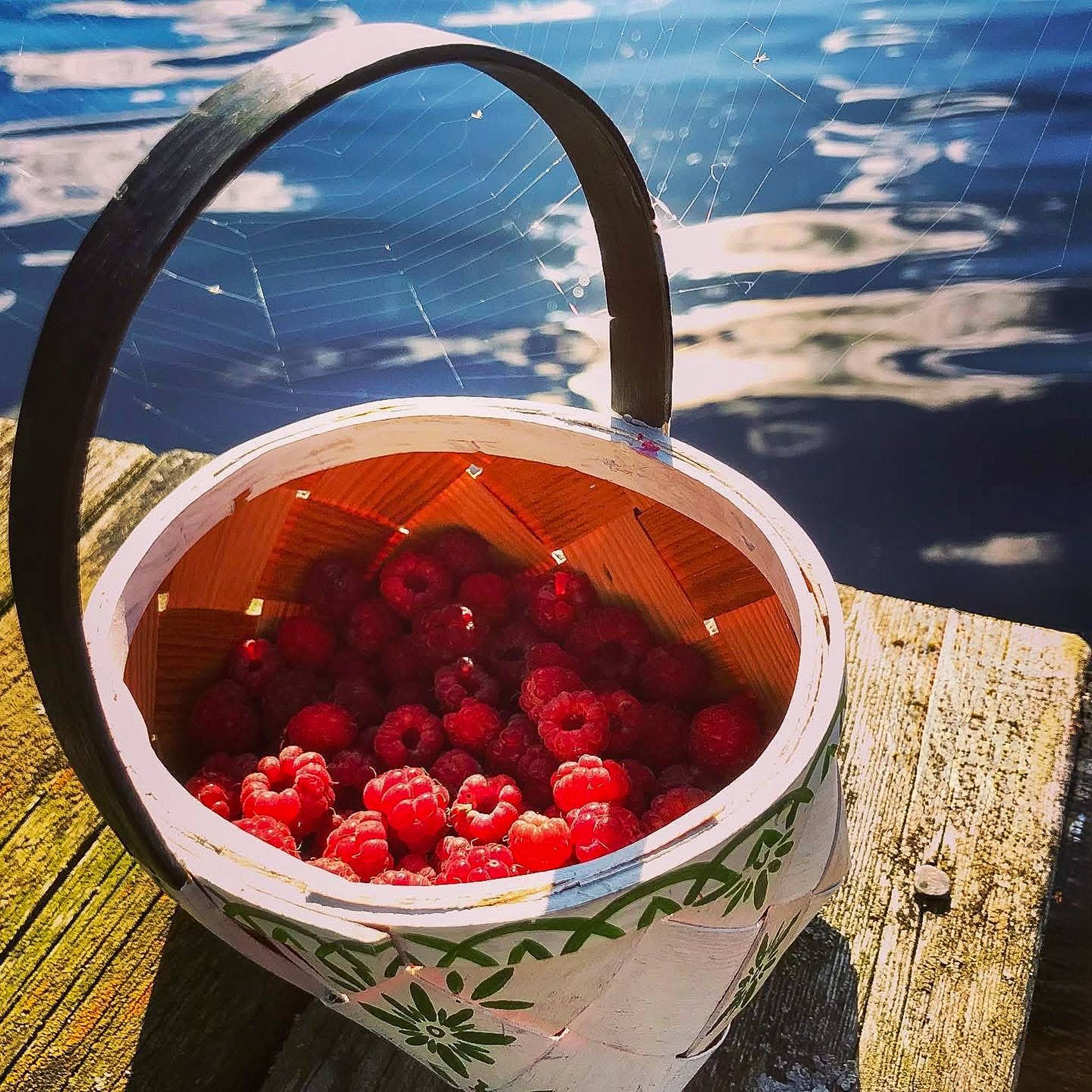 2 rum Fritidshus på Bofinkvägen 7 Söderhamns kommun - bild 21