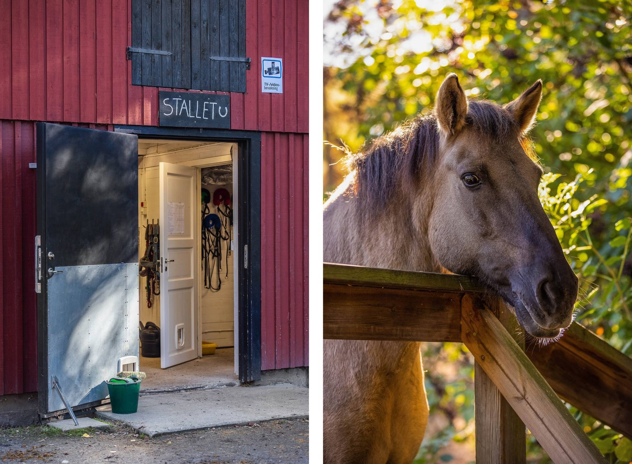 1 rum Lägenhet på Hägerstensvägen 209, vån 3/3 Aspudden - Örnsberg Stockholms kommun - bild 22