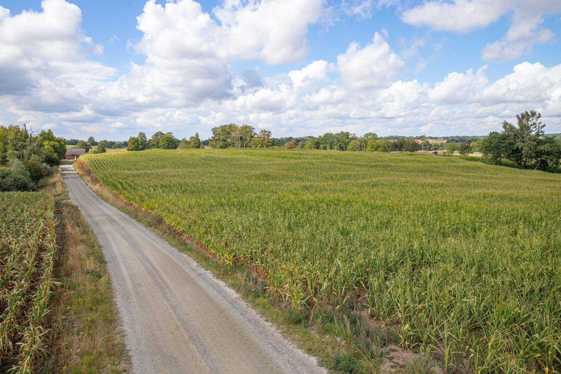Gård med jordbruk på Östra Klasarödsvägen 262-16 Sjöbo kommun - bild 10