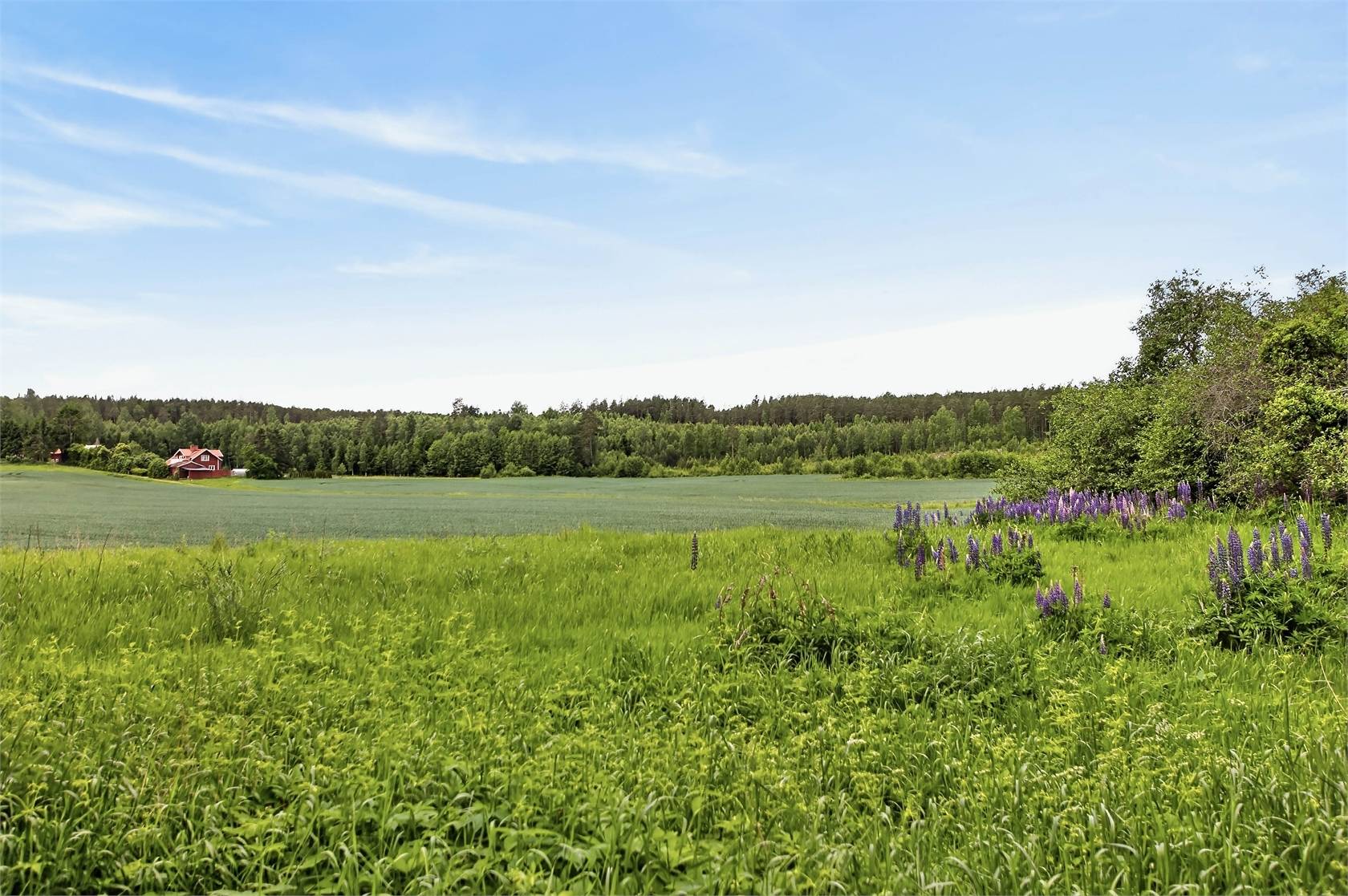 5 rum Villa på Fridkullen 1 Ålberga Nyköpings kommun - bild 49
