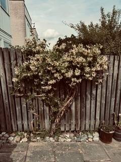 6 rum Radhus på Lomvägen 539 Sjöberg Sollentuna kommun - bild 45