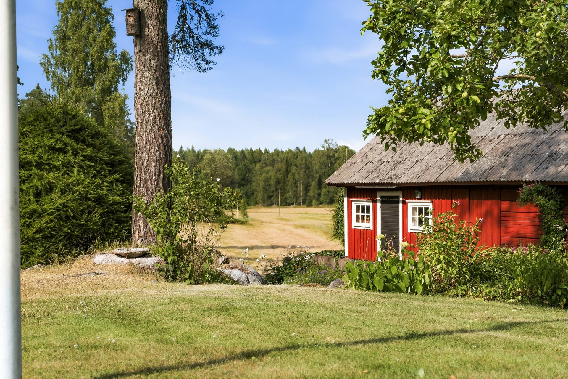 3 rum Gård med jordbruk på Björntorp Bråten 1 Lantligt Nyköpings kommun - bild 24
