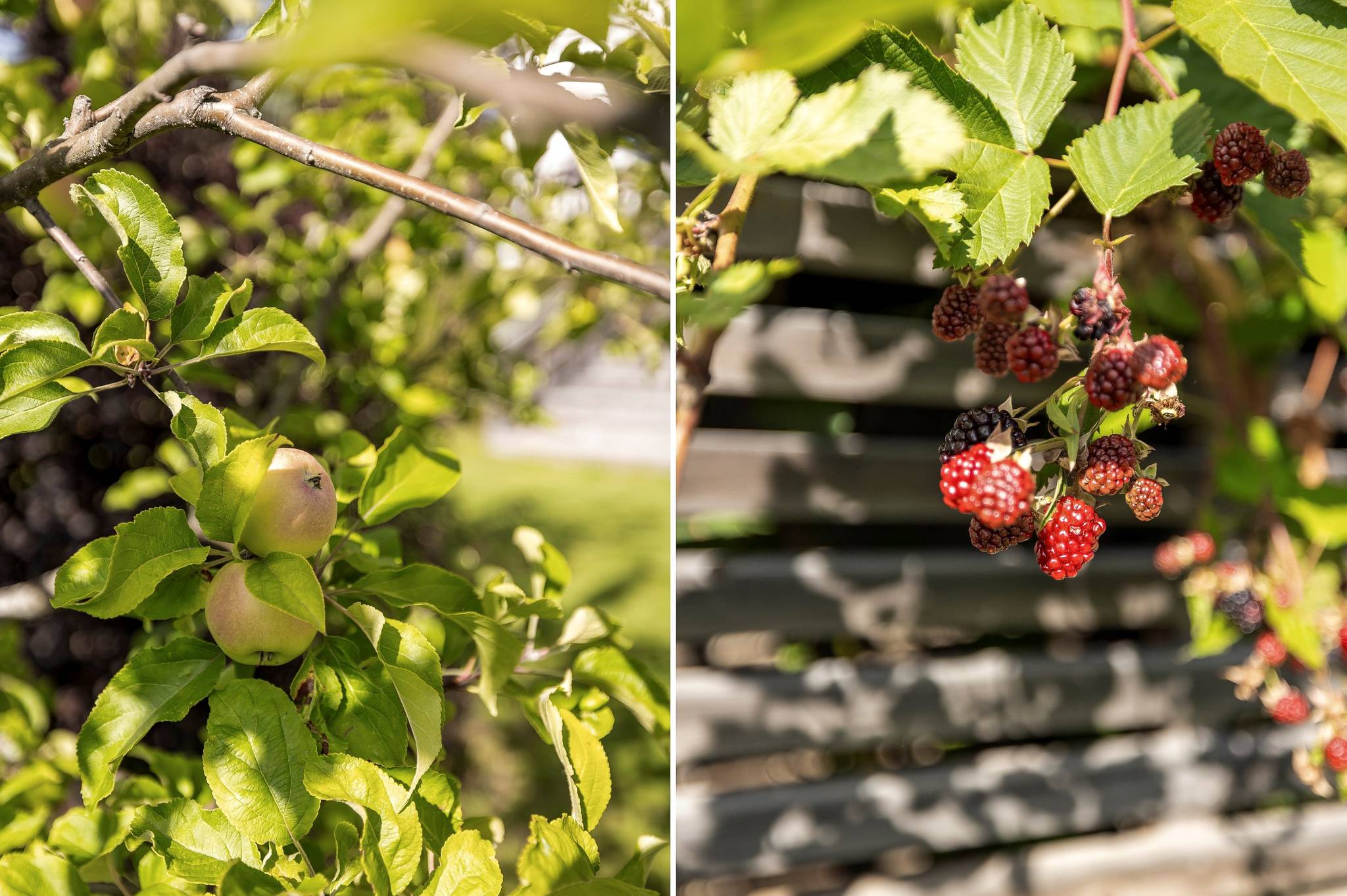 6 rum Villa på Skogstorpsvägen 59 Lindbacken Uppsala kommun - bild 38