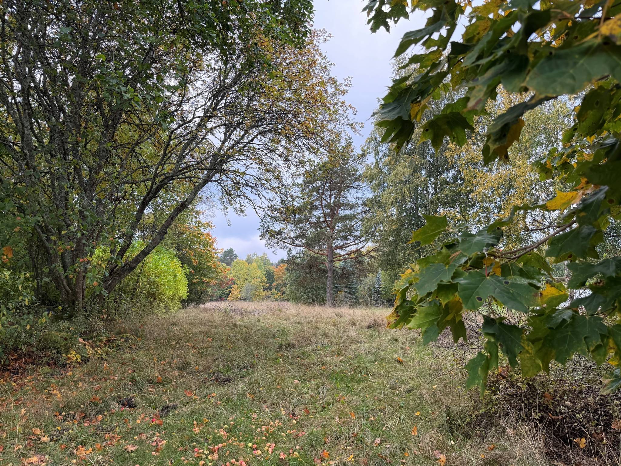 Fritidshus på Björkkullavägen 9B Väddöviken Norrtälje kommun - bild 6
