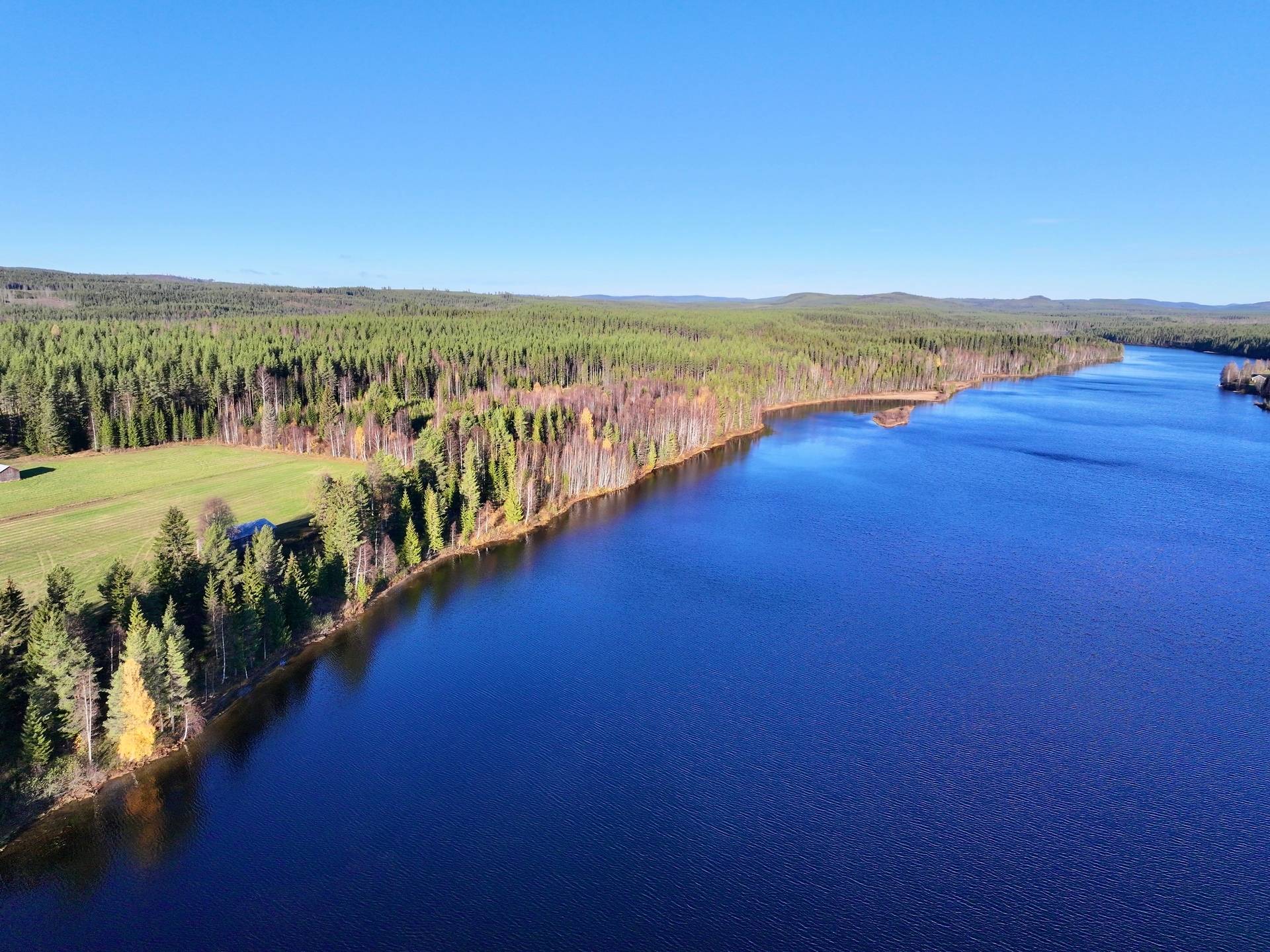Gård/skog på Granön 4:6 Vindelns kommun - bild 19