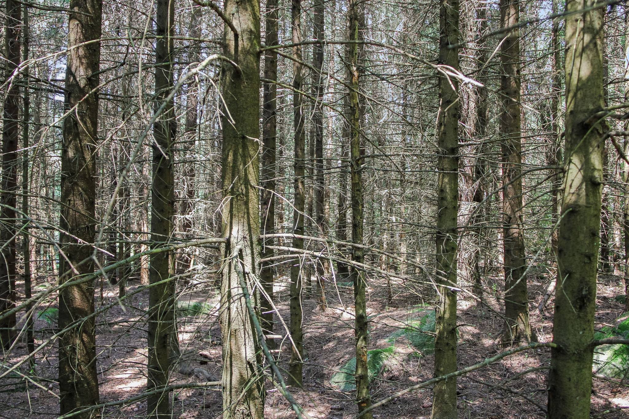 133 m² Gård/skog på Lilla Vittsjö 556 Vittsjö Hässleholms kommun - bild 35