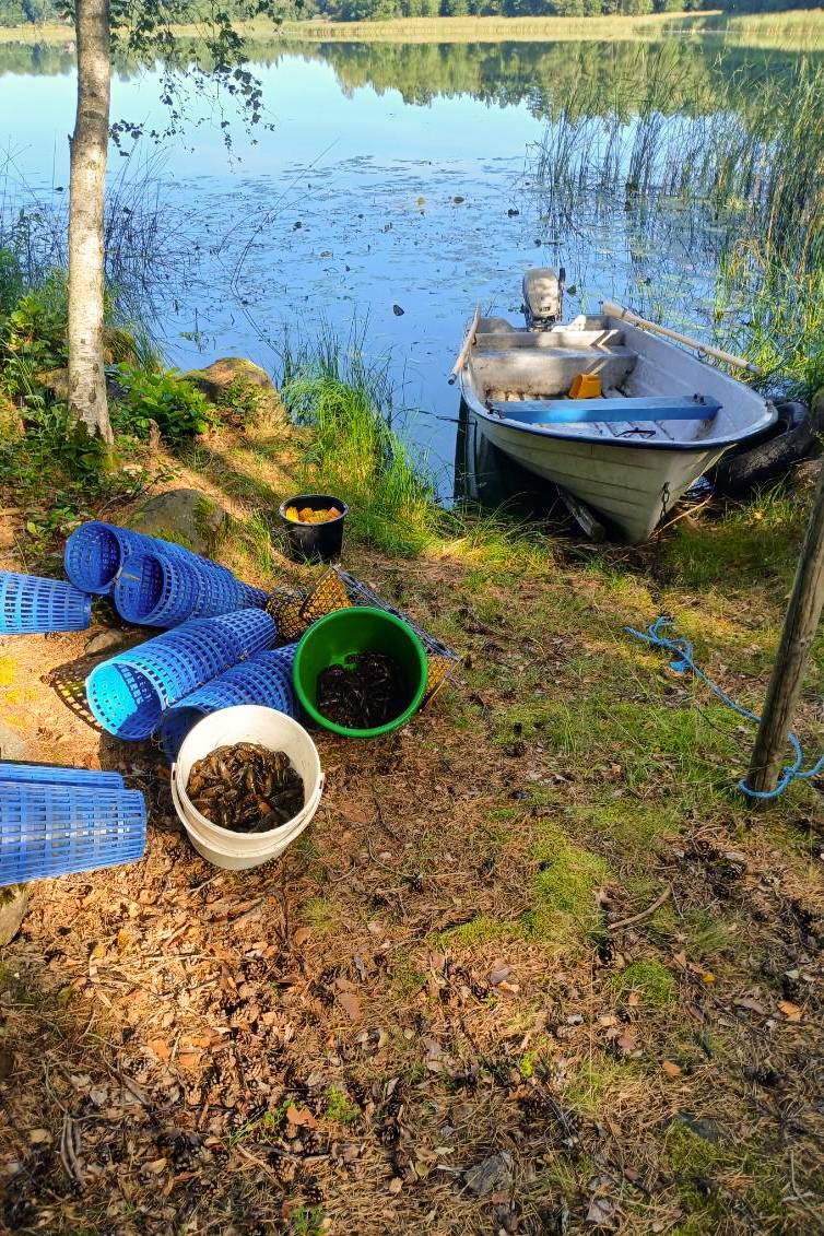 6 rum Gård utan jordbruk på Valltrand 2 Österåker Vingåkers kommun - bild 49