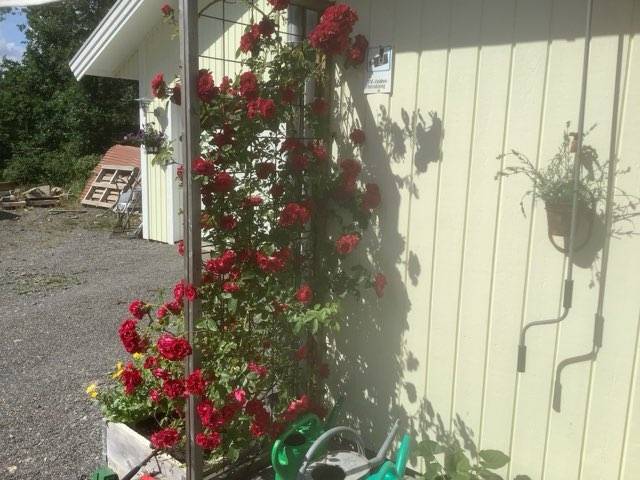 4 rum Villa på Gamla Kilandavägen 84 Nödinge Ale kommun - bild 41