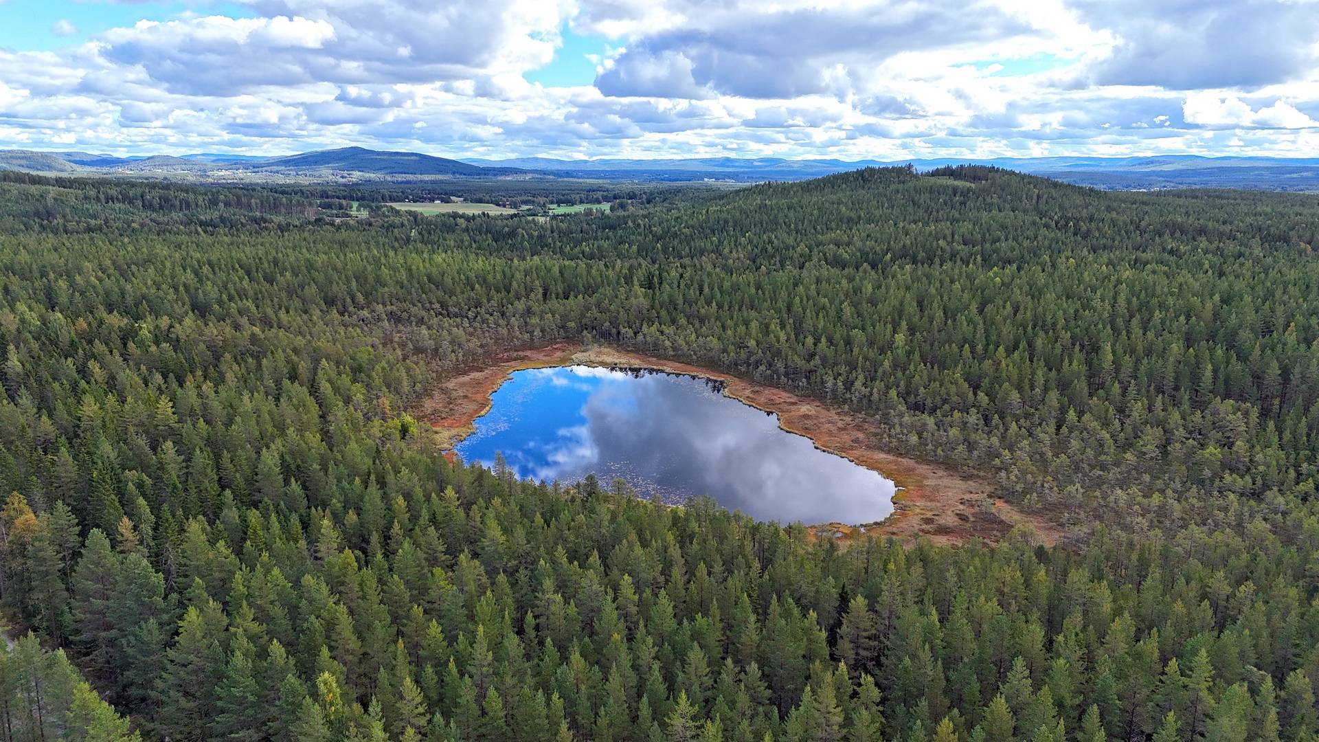 Gård med skogsbruk på Breasen Färila Ljusdals kommun - bild 3