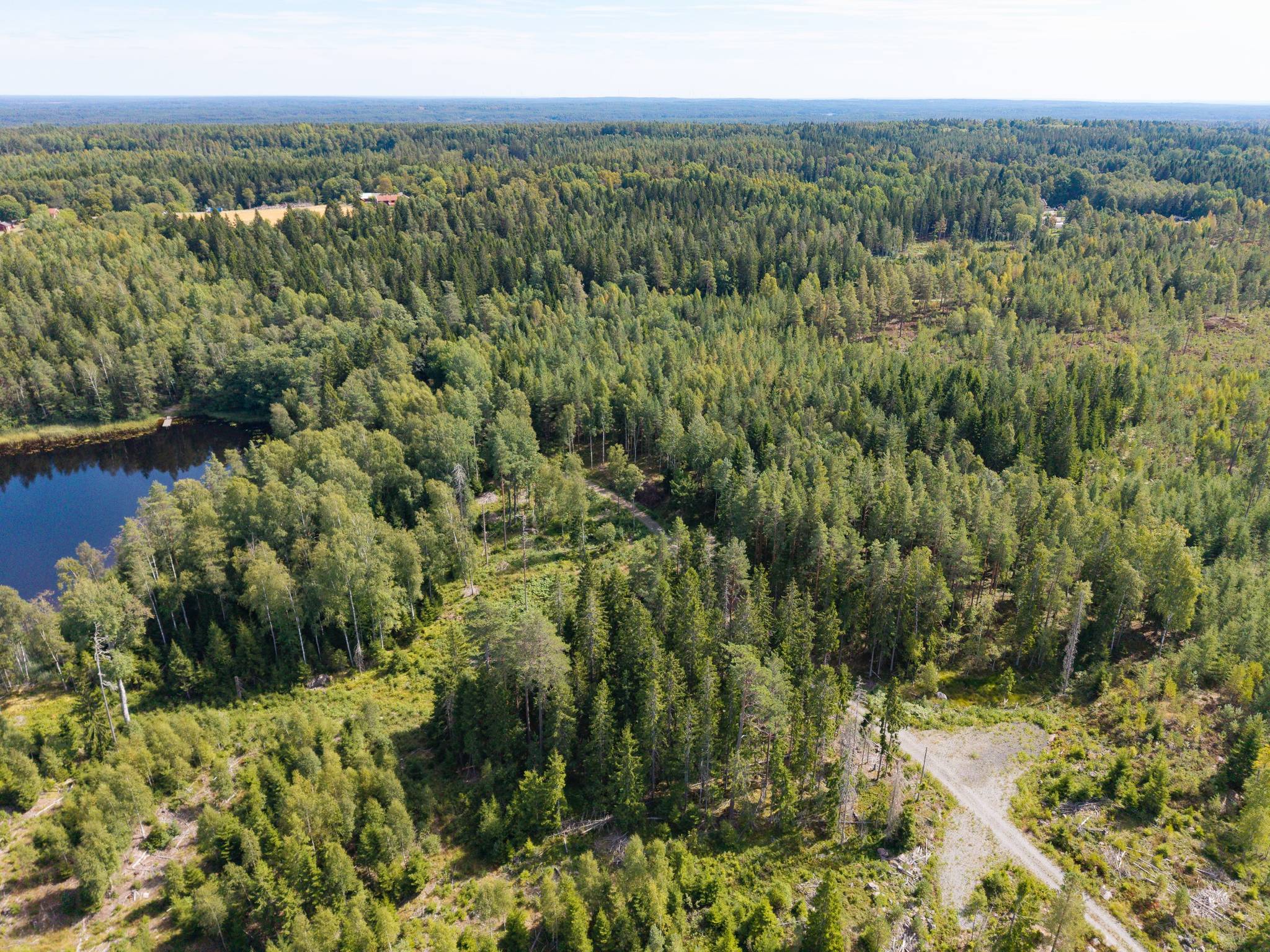 Gård med skogsbruk på Isåsen Askersunds kommun - bild 25