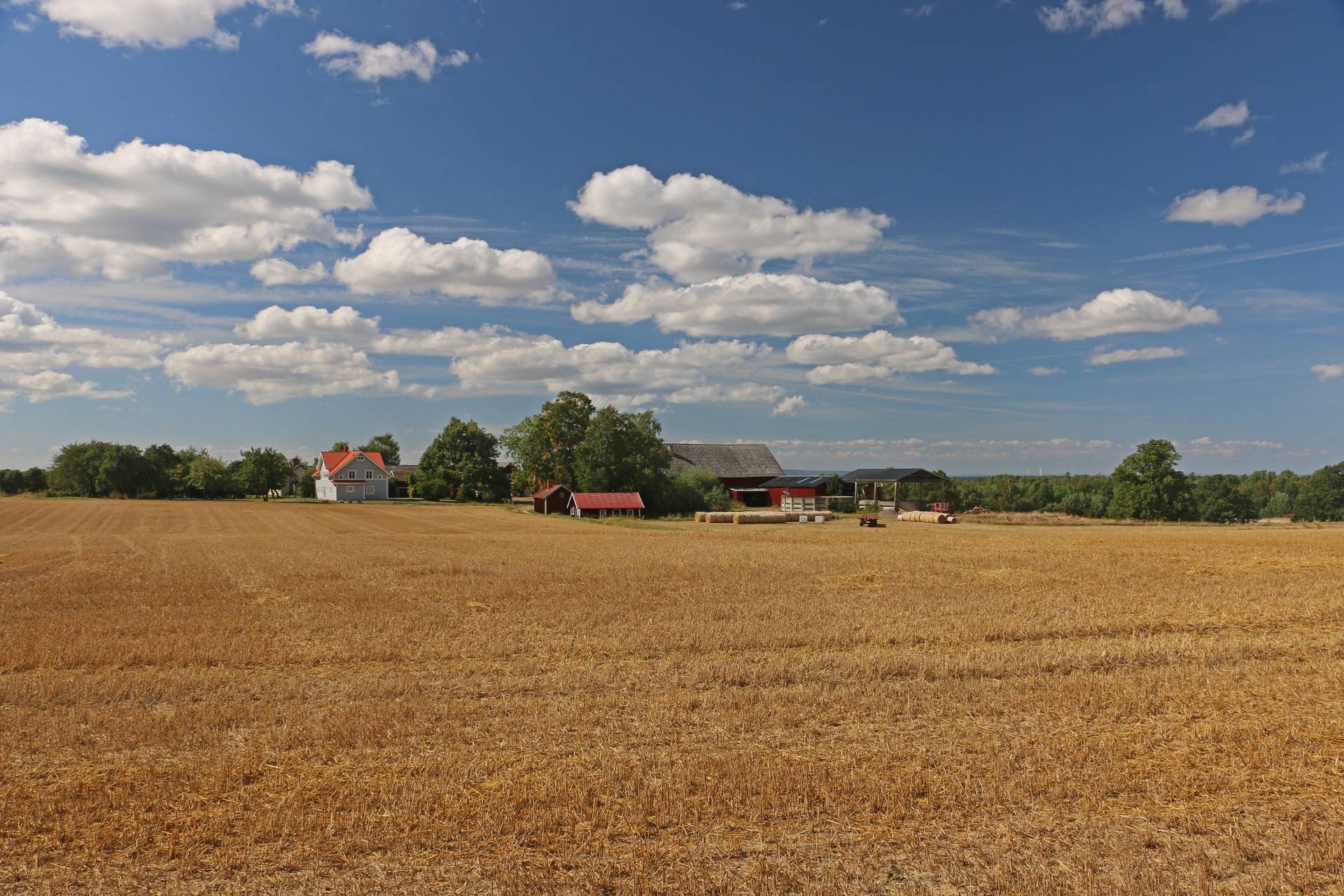 Gård med jordbruk på Jordsfälle Boxholms kommun - bild 28