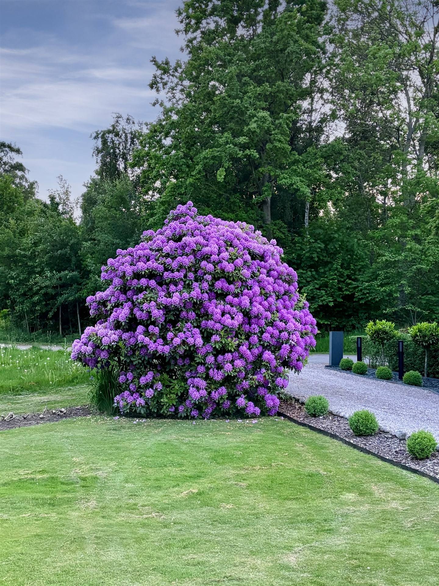 6 rum Villa på Blomstervägen 14 Harplinge Halmstads kommun - bild 44