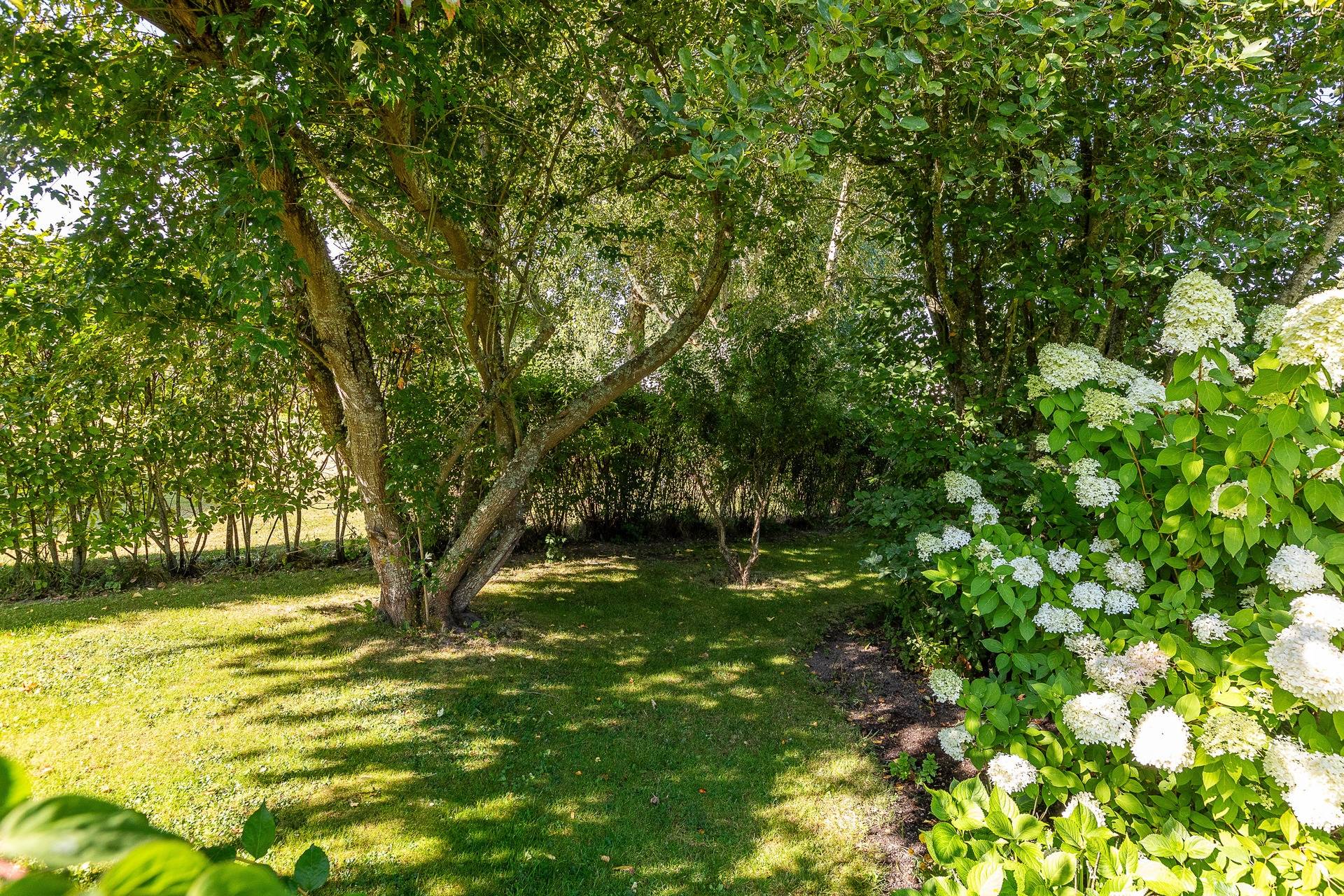4 rum Villa på Skarvvägen 164 Hagby Kalmar kommun - bild 25