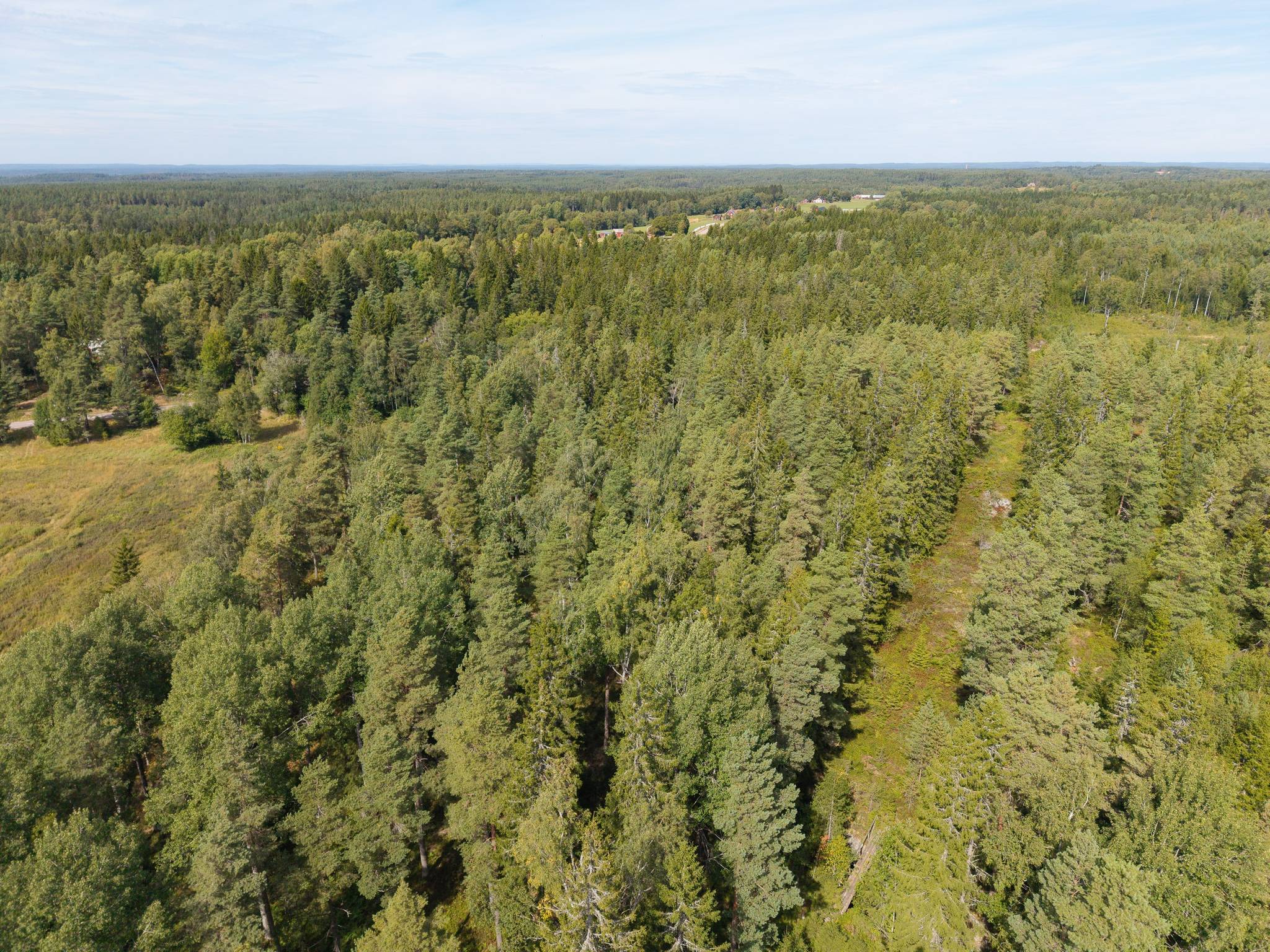 Gård med skogsbruk på Isåsen Askersunds kommun - bild 30