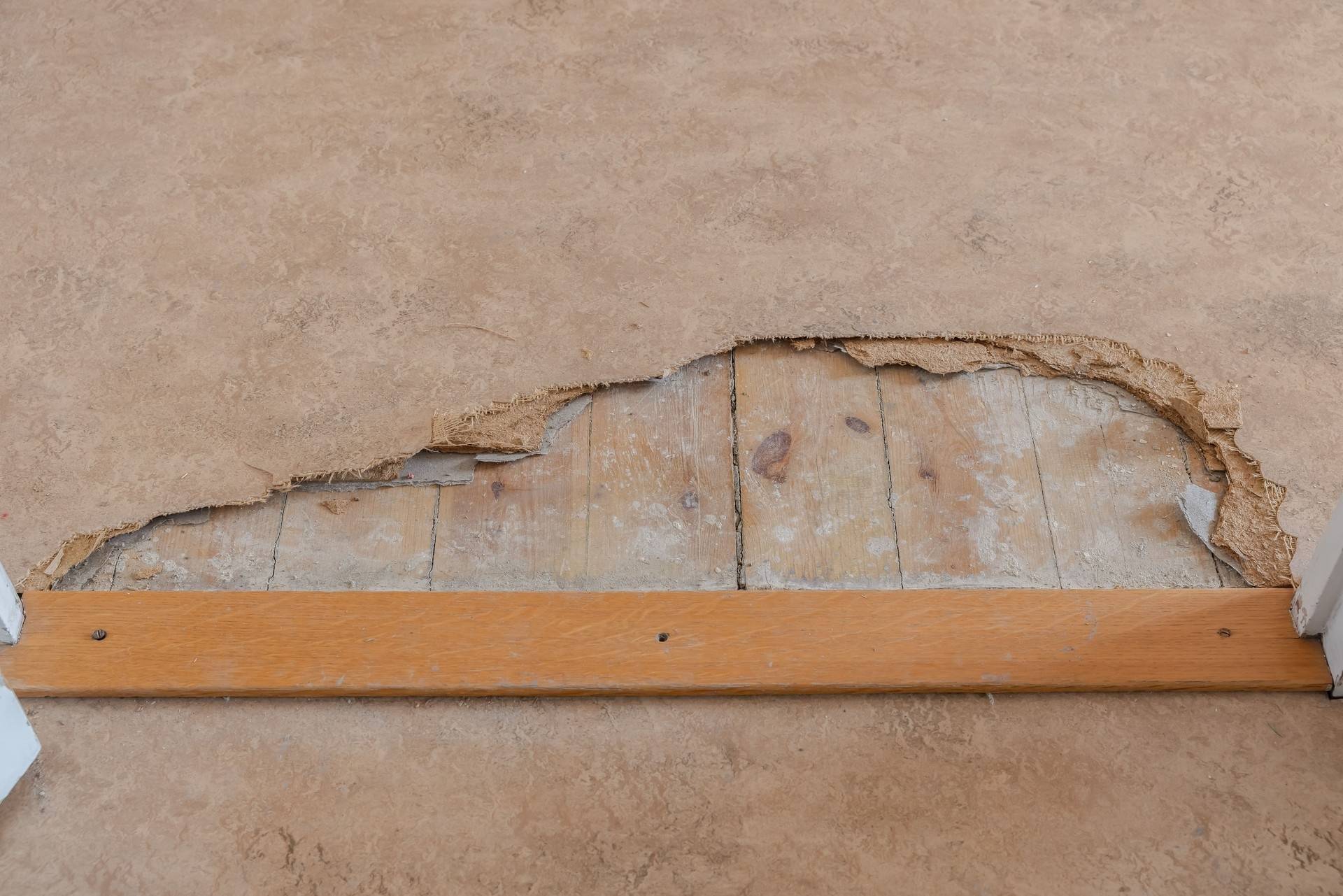 2 rum Lägenhet på Vikingagatan 41 Vasastan Stockholms kommun - bild 15
