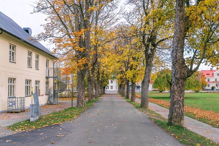 9 rum Villa på Emil Löfstrands väg 10 Hova Tätort Gullspångs kommun - bild 6