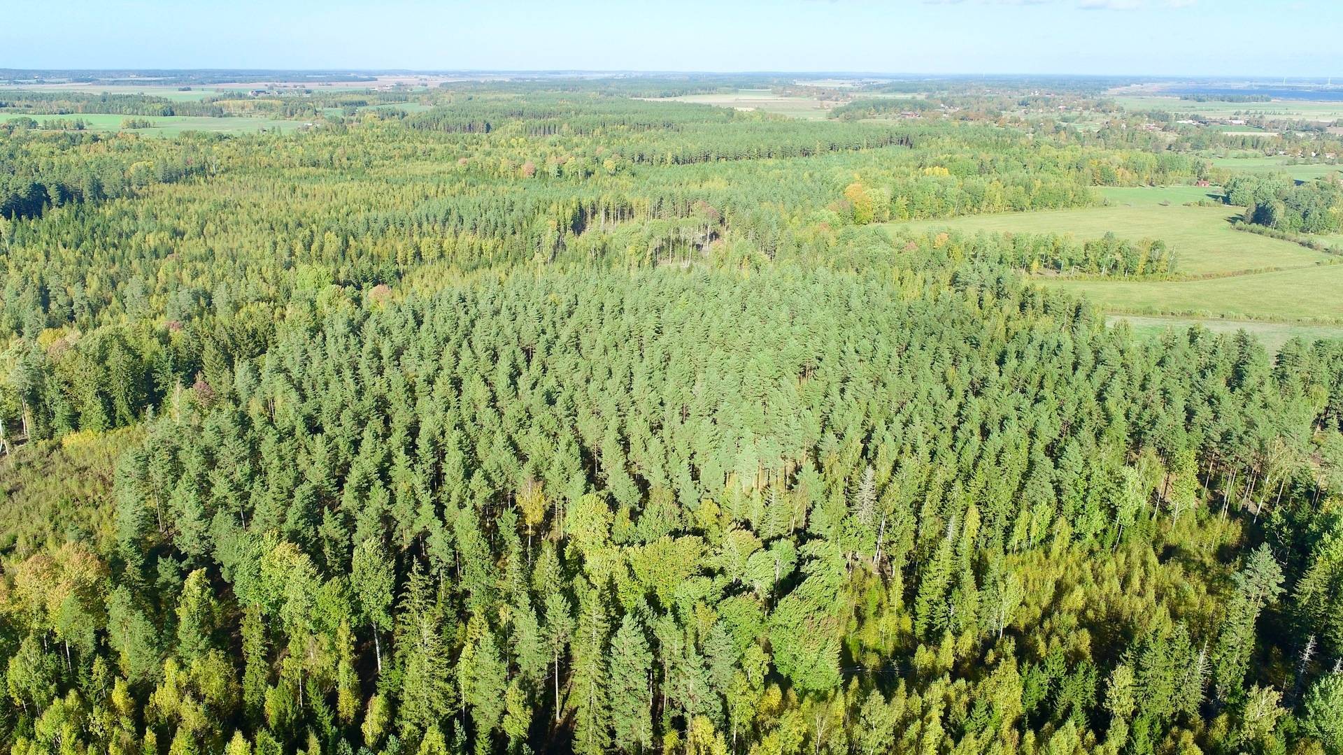 Gård med skogsbruk Binneberg Skövde kommun - bild 6