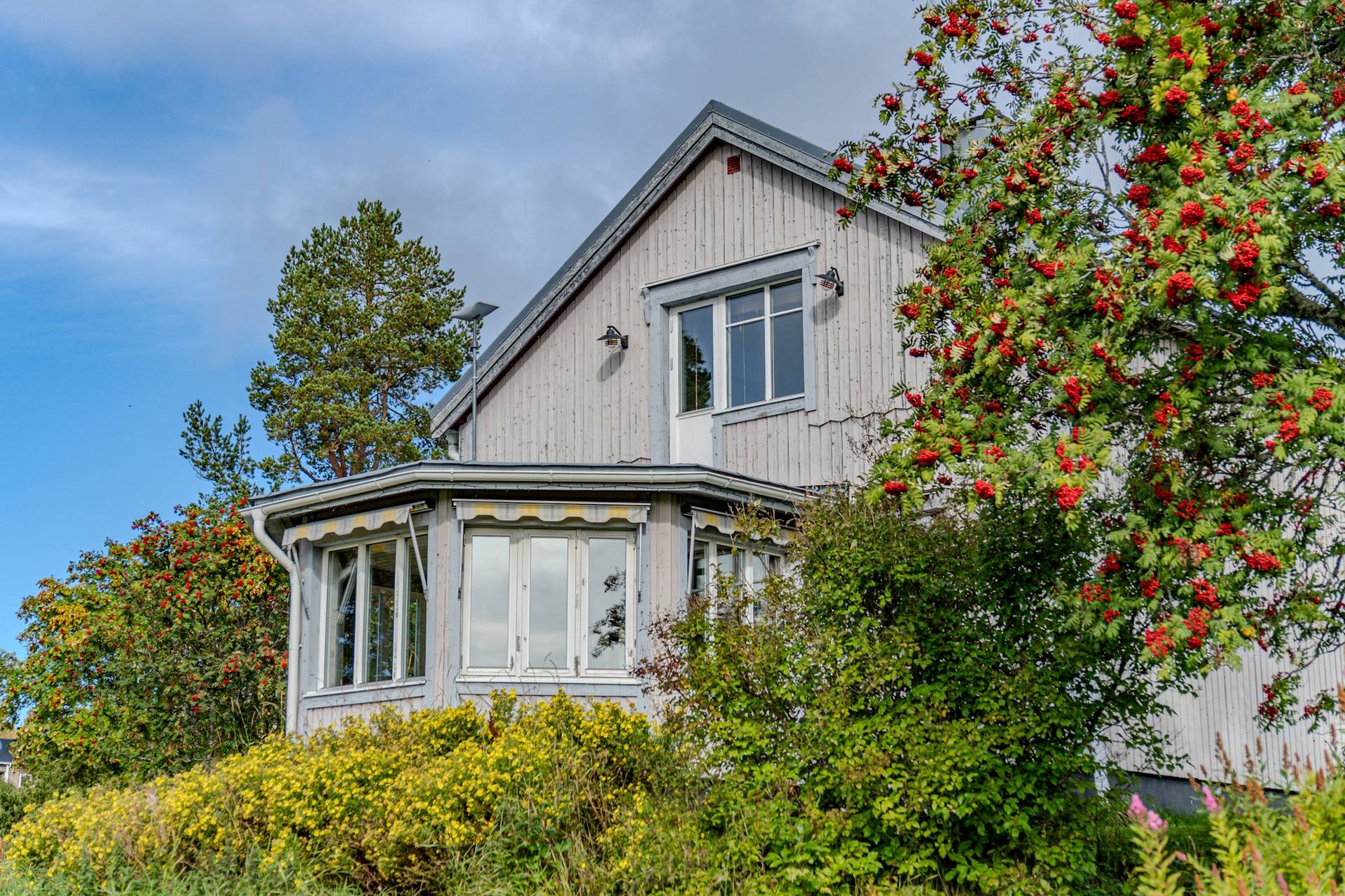 4 rum Gård utan jordbruk på Missenträsk 125 Missenträsk Skellefteå kommun - bild 40