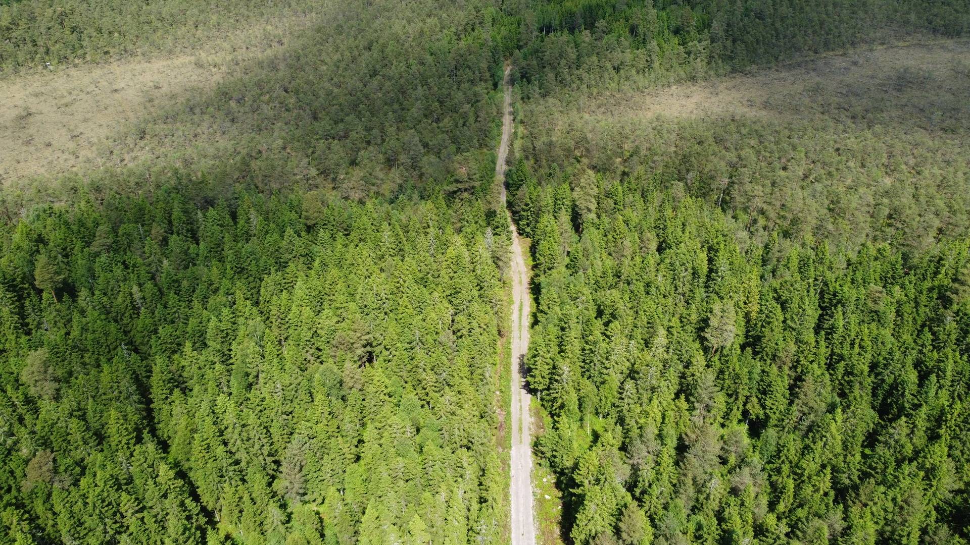 Gård/skog på Välarronderad skogsfastighet med god tillgänglighet Sexdrega Svenljunga kommun - bild 12