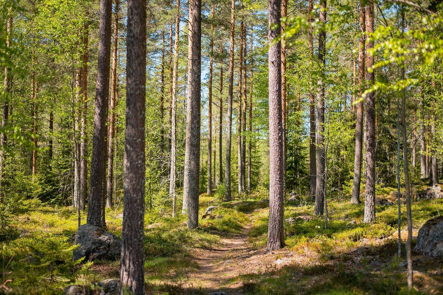 4 rum Gård/skog på Skolmästarvägen 7 Storvik Sandvikens kommun - bild 28