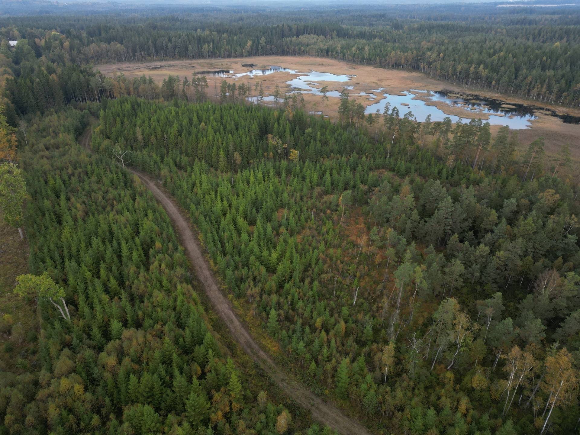 Gård med jordbruk på Yttrebo 107 Hylte kommun - bild 26