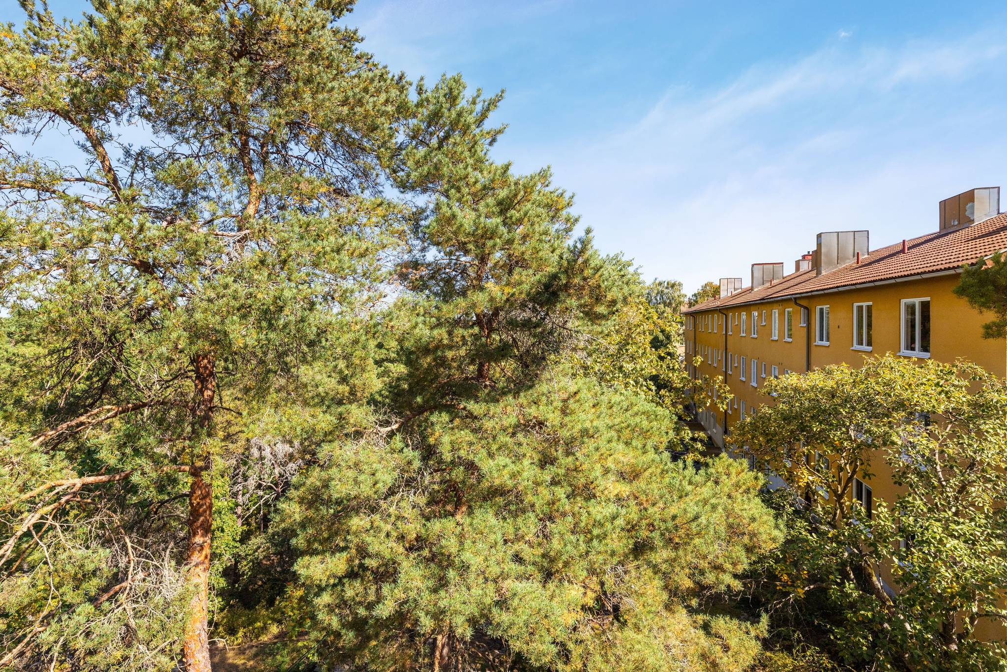 2 rum Lägenhet på Skrinvägen 3 Enskede - Gubbängen Stockholms kommun - bild 23