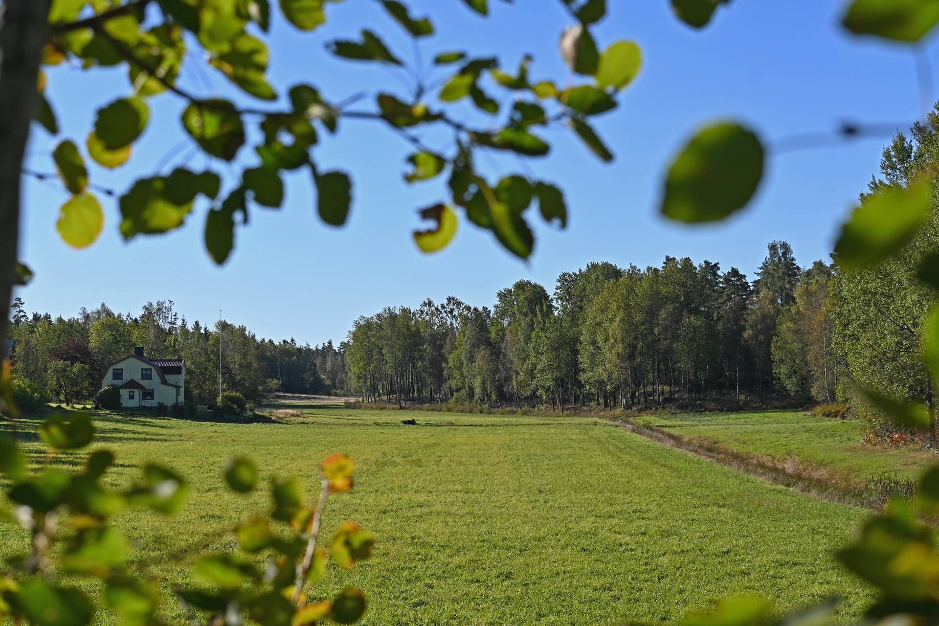 Gård med skogsbruk på Häftängsmaden Trollhättans kommun - bild 3