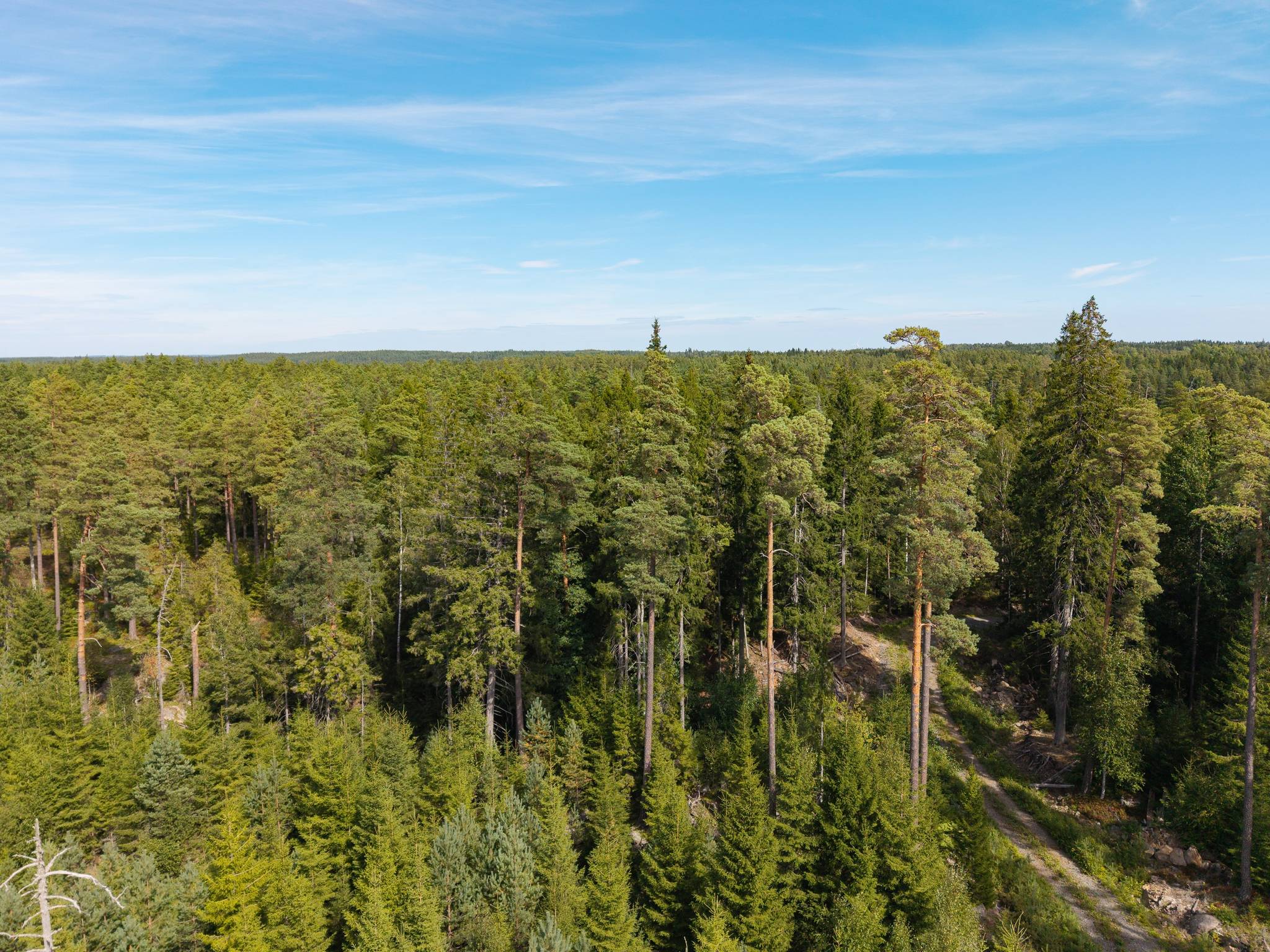 Gård med skogsbruk på Isåsen Askersunds kommun - bild 19