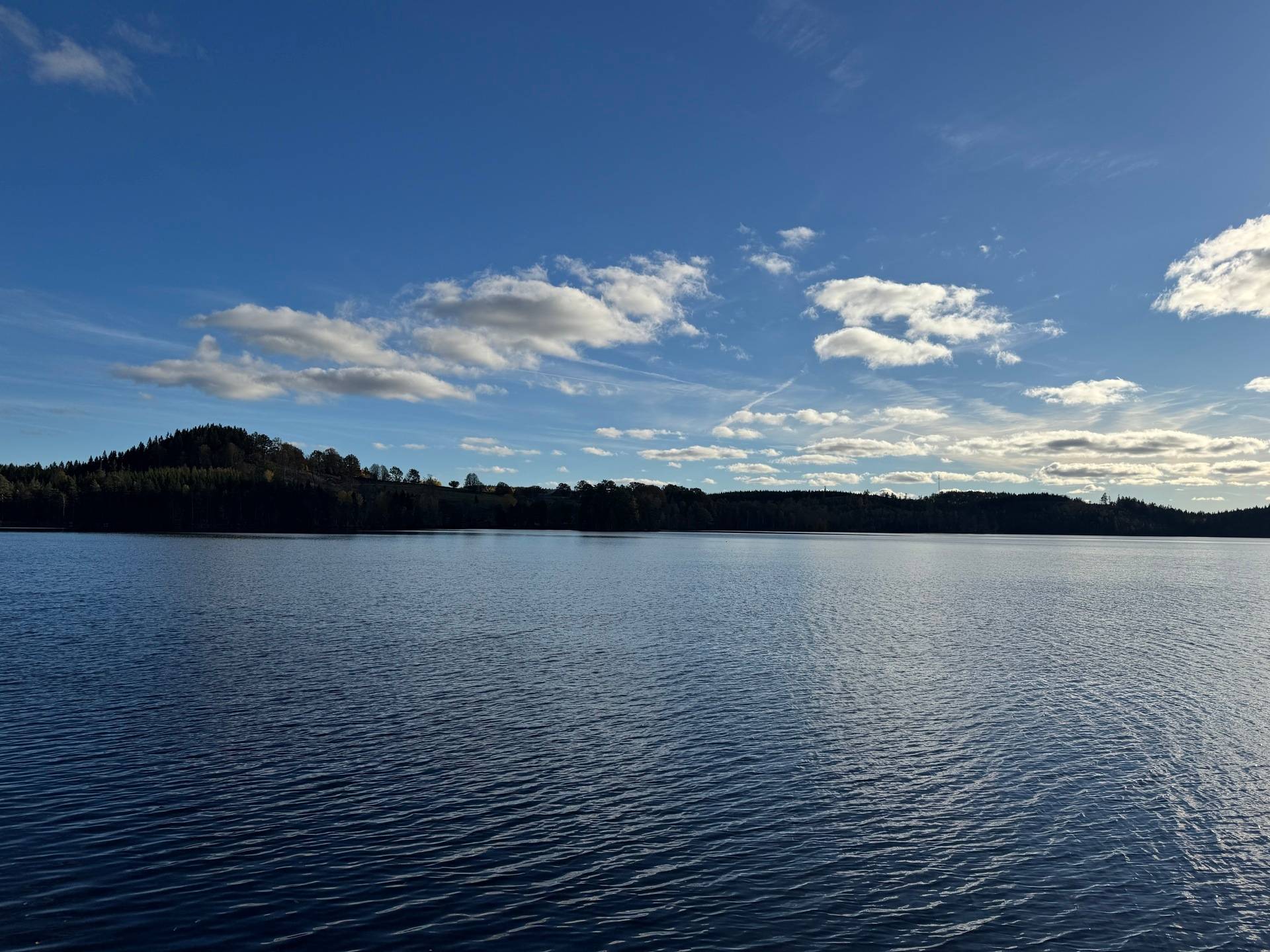 Gård med skogsbruk på Tokhult 1:13 Öxabäck Marks kommun - bild 26