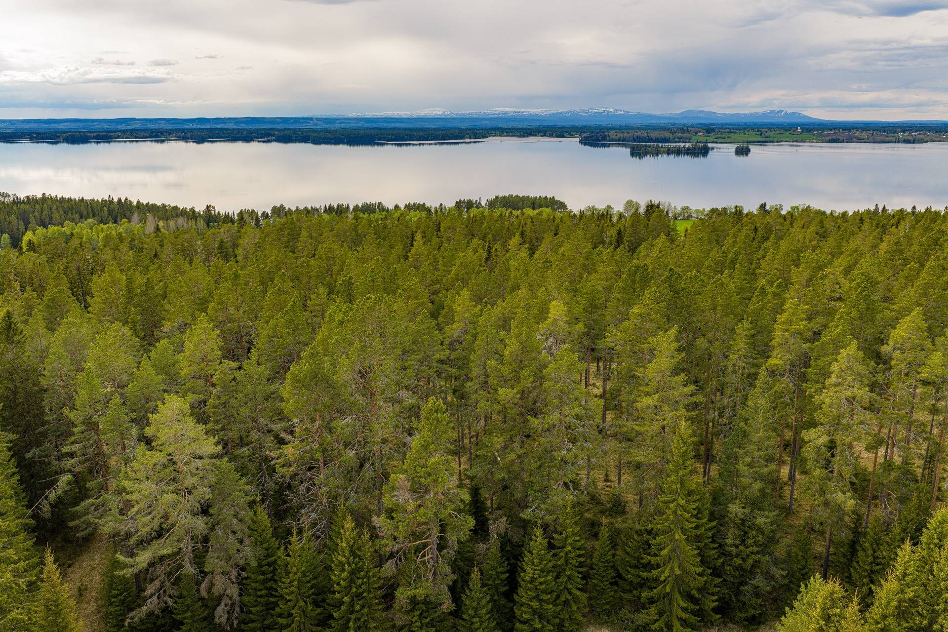 Gård/skog på Sinnberg Östersunds kommun - bild 10