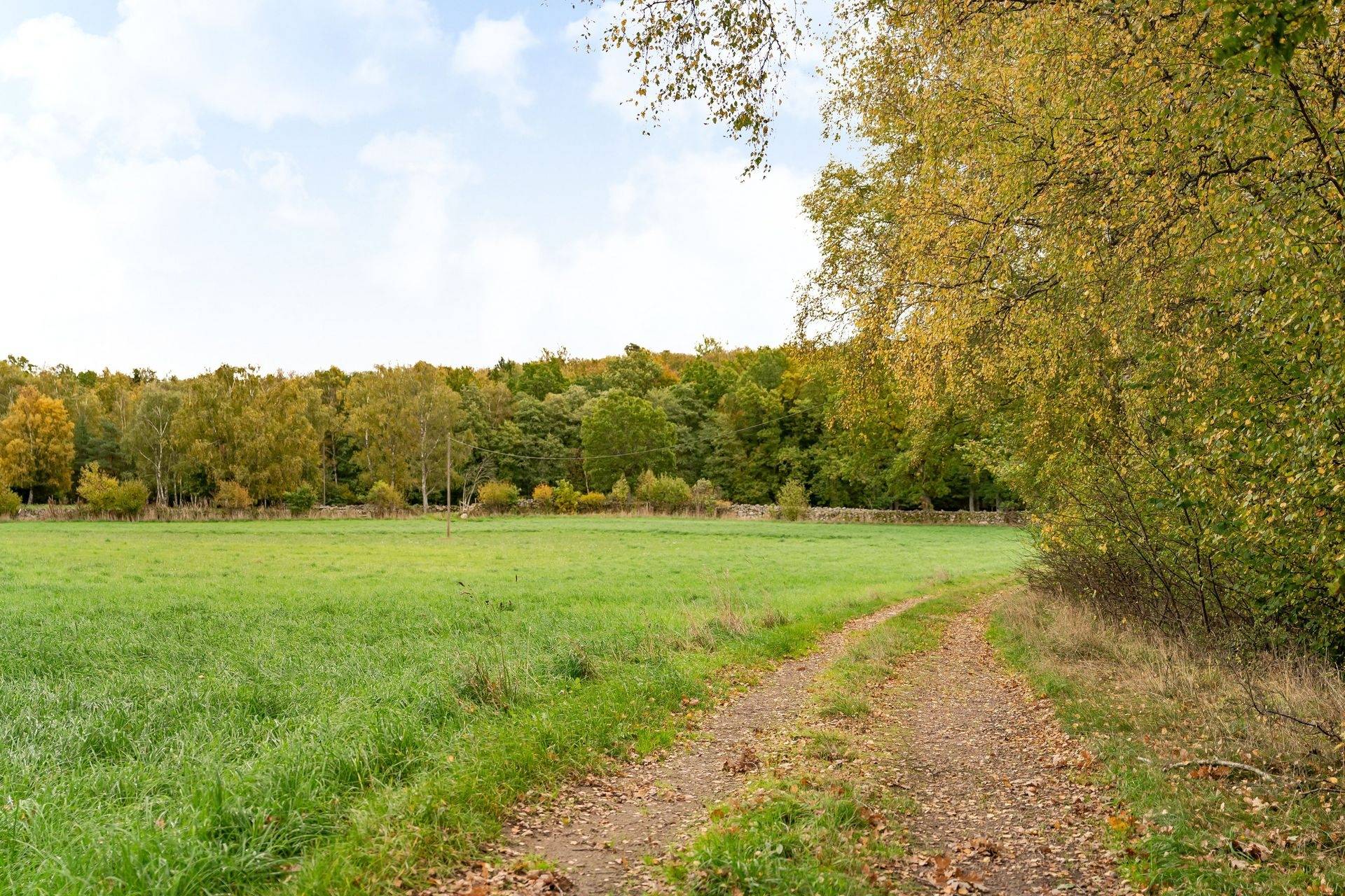 135 m² Gård med skogsbruk på Värestorp 2076 Östra Göinge kommun - bild 67