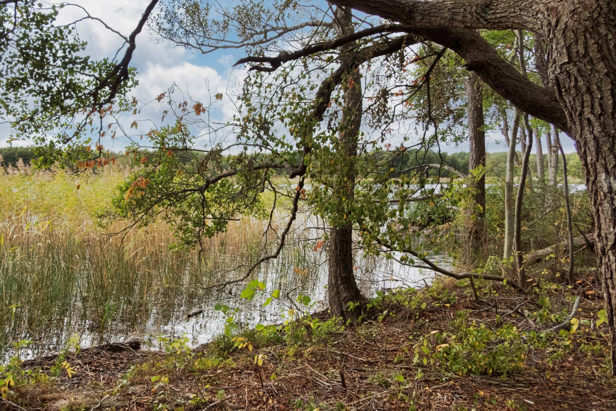 Tomt på Kristinetorpsvägen 24 Rättarboda Upplands-Bro kommun - bild 8