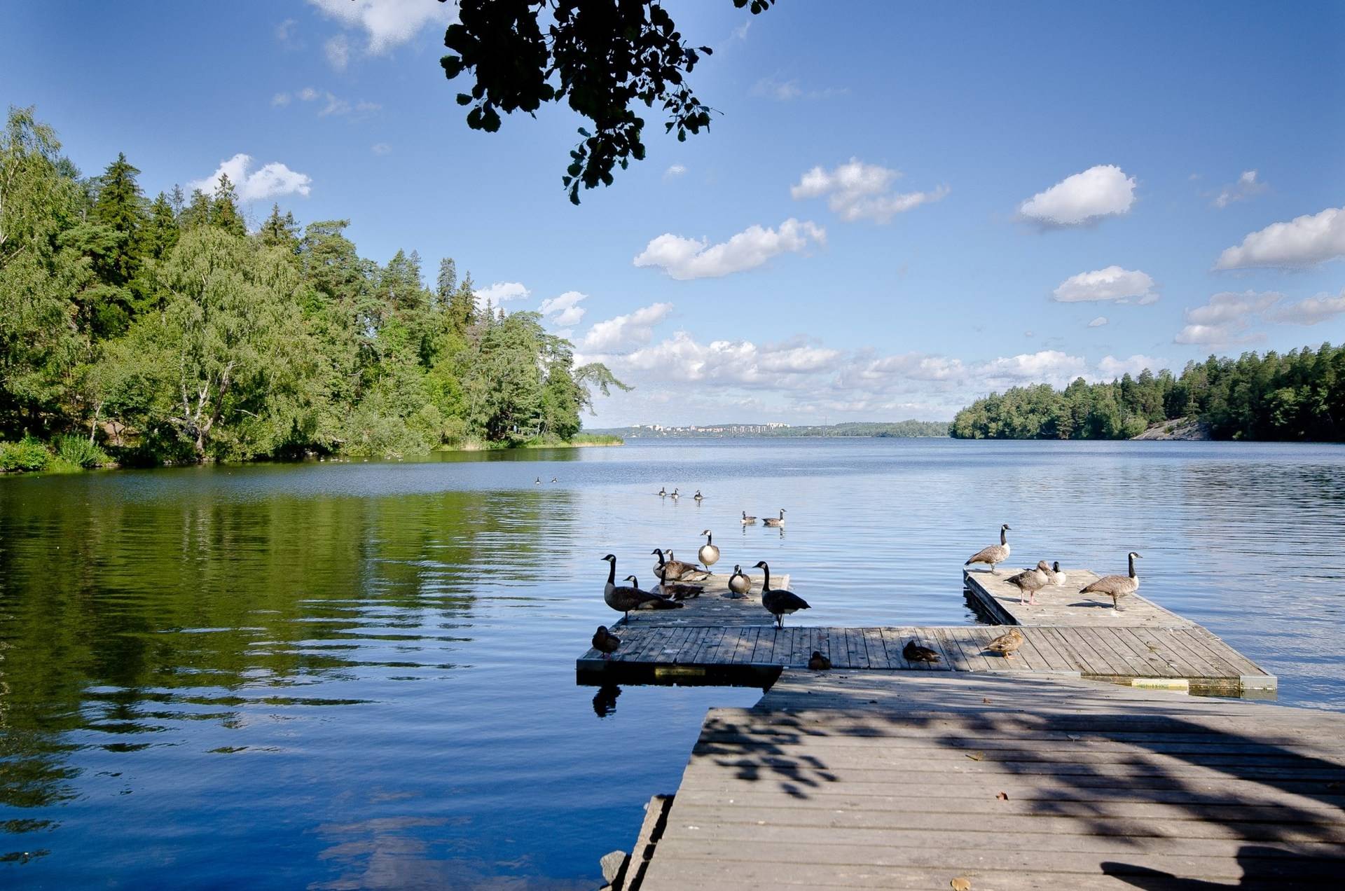 2 rum Lägenhet på Pressarvägen 23 Kallhäll Järfälla kommun - bild 29