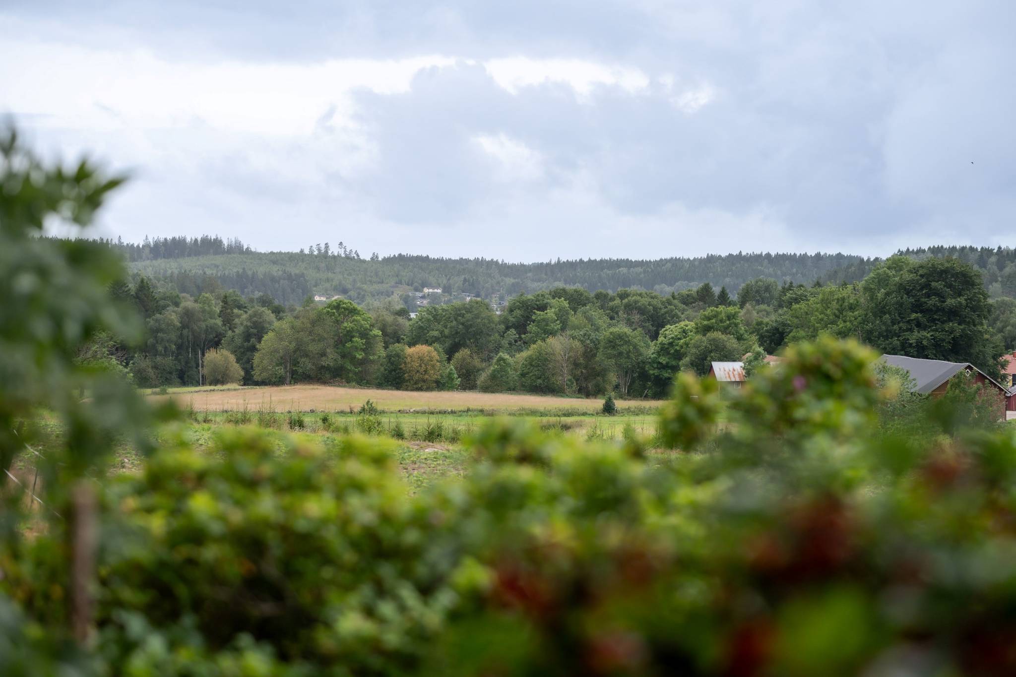 8 rum Villa på Skänstad Solgården 1 Dalsjöfors Borås kommun - bild 29