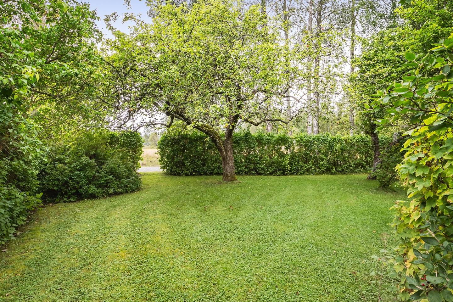 5 rum Gård/skog på Klasbo 102 Jugansbo Heby kommun - bild 41