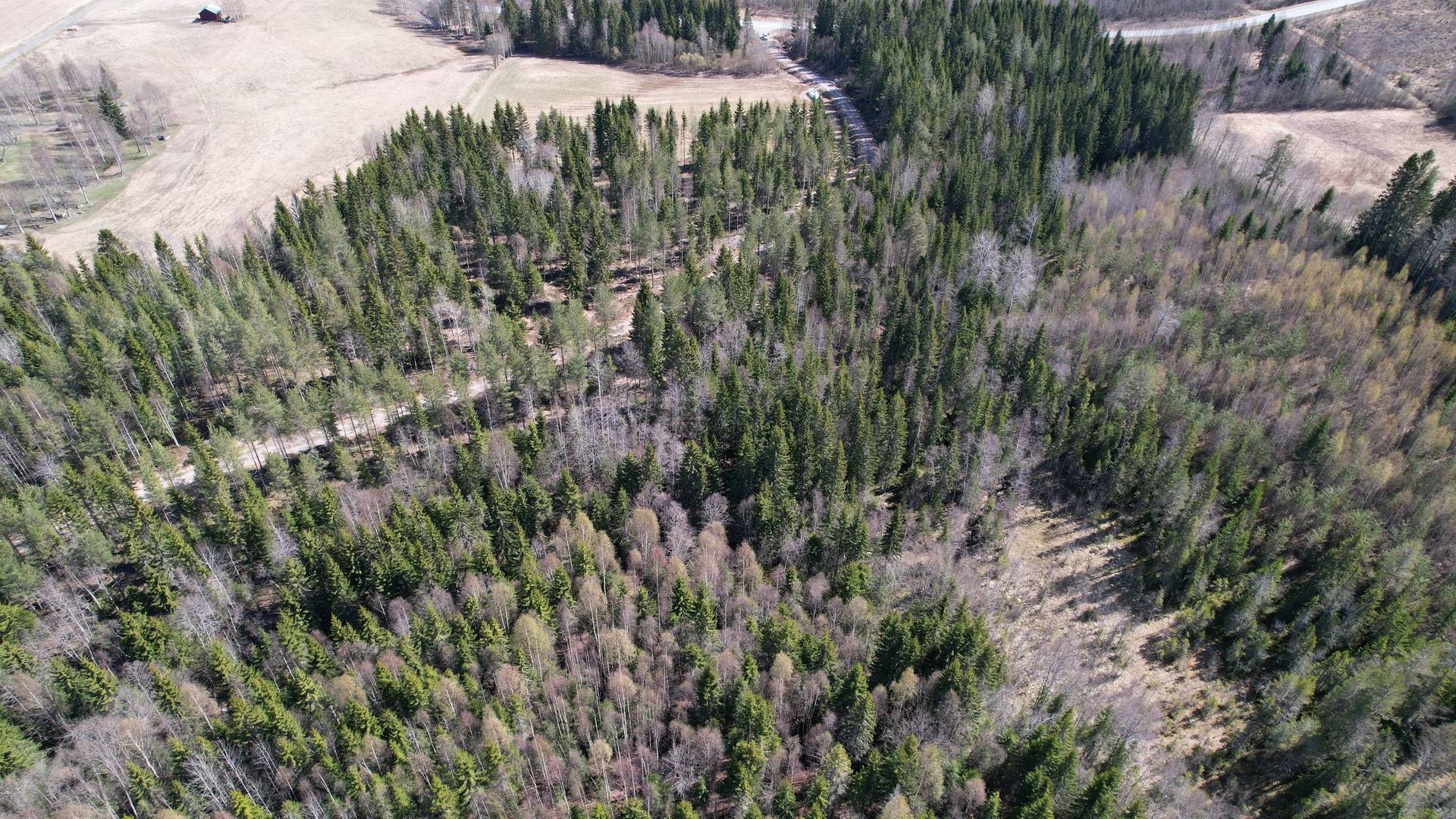 Gård/skog på Flärke 223 Gideå Örnsköldsviks kommun - bild 41