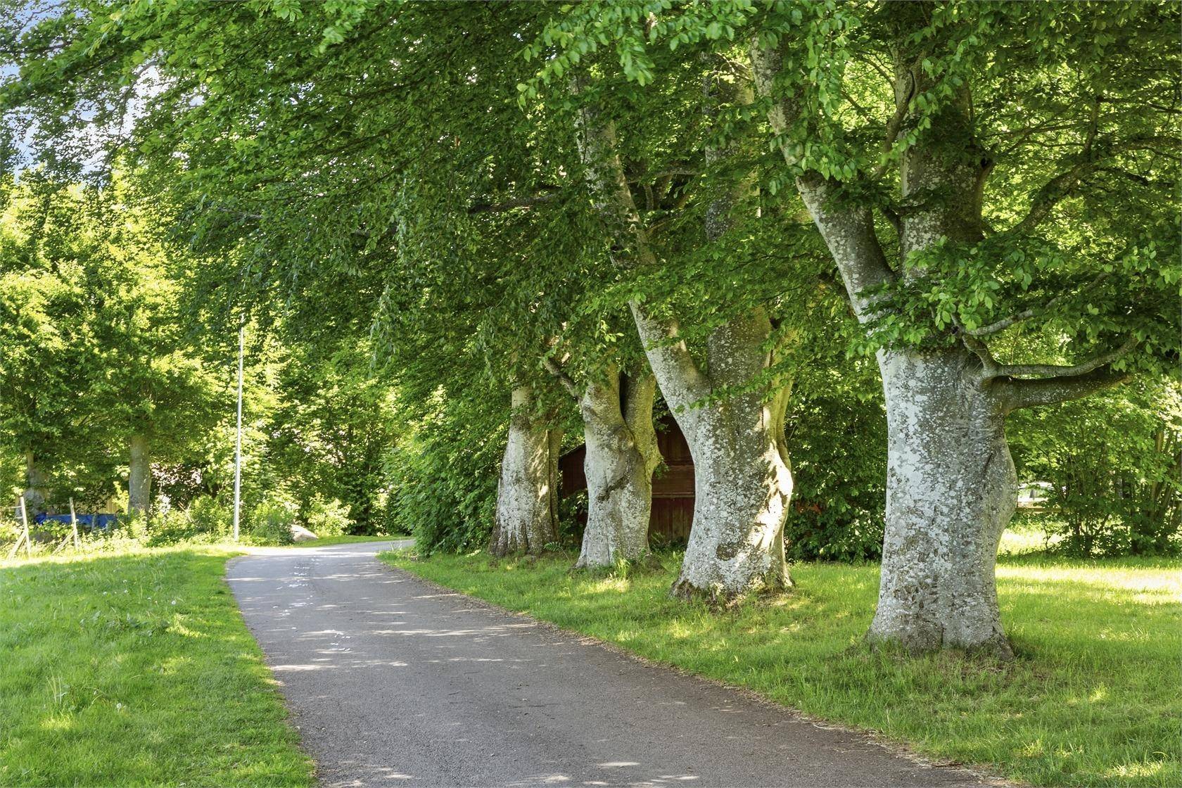 Långås, Falkenbergs kommun