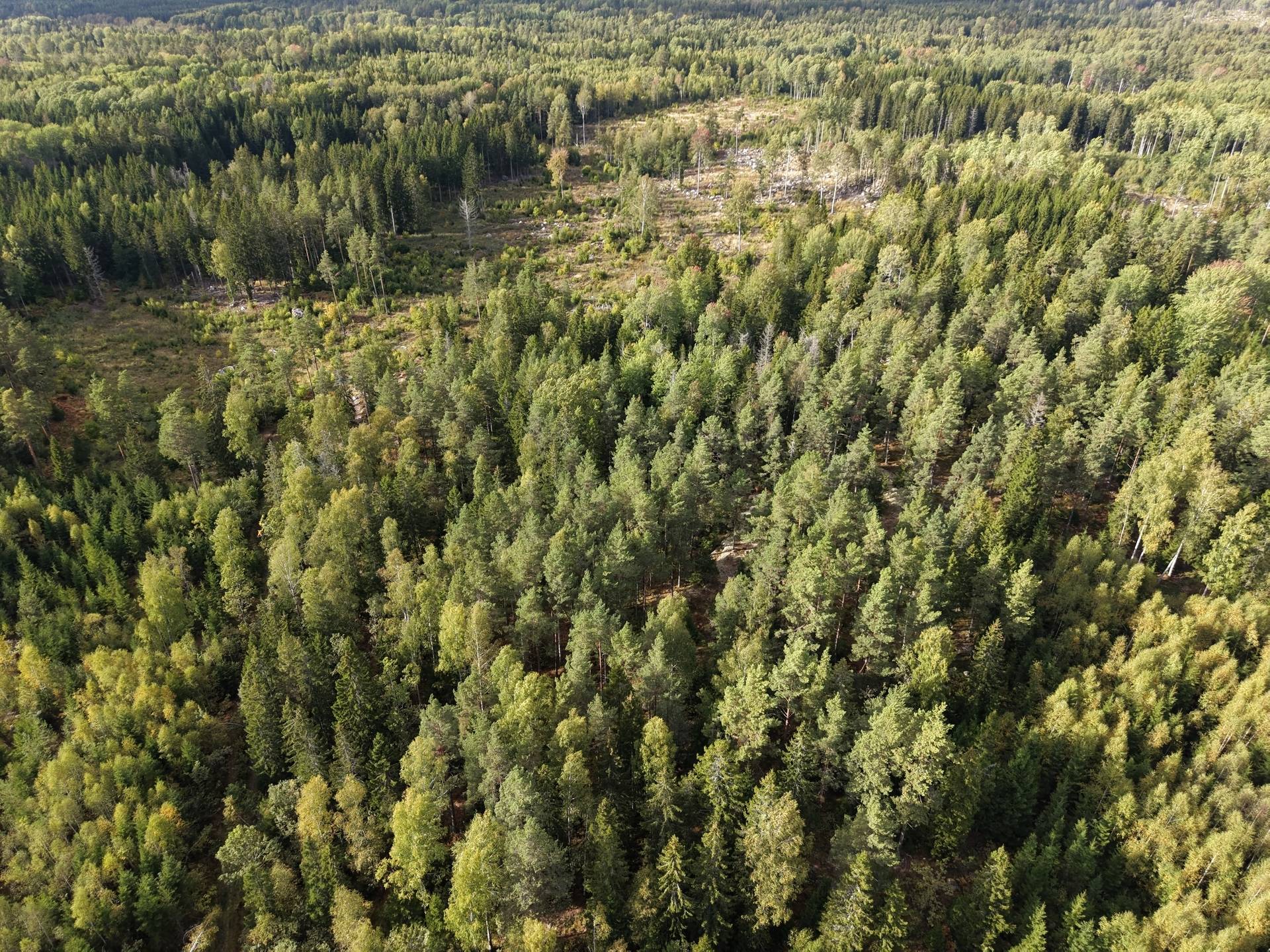 Gård med skogsbruk på NORRTÄLJE SÖDERMARJUM 2:2 Norrtälje kommun - bild 14