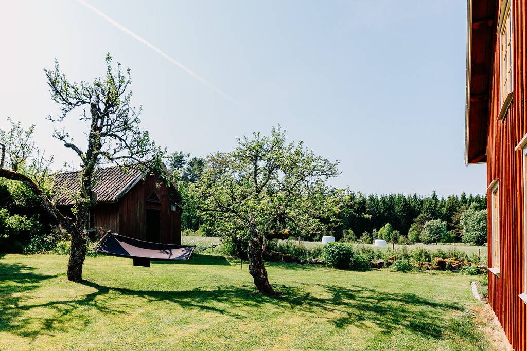 Gård/skog på Ullene Bolsråsen Ullene Falköpings kommun - bild 5