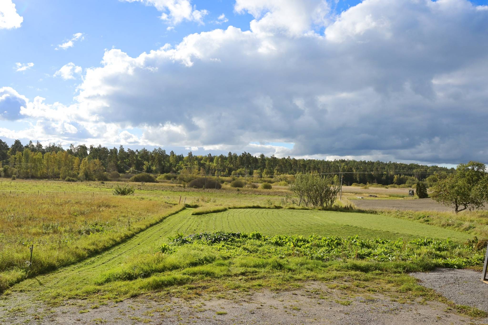 3 rum Gård/skog på Törnby gård 2 Färingsö Skå Ekerö kommun - bild 4