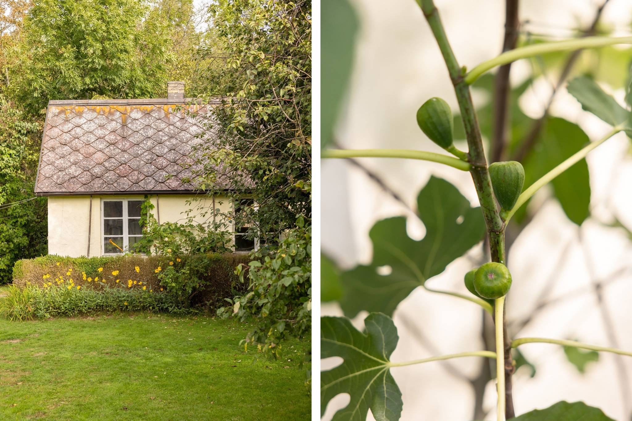7 rum Villa på Lavendelvägen 18 Sliparelyckan Lunds kommun - bild 28