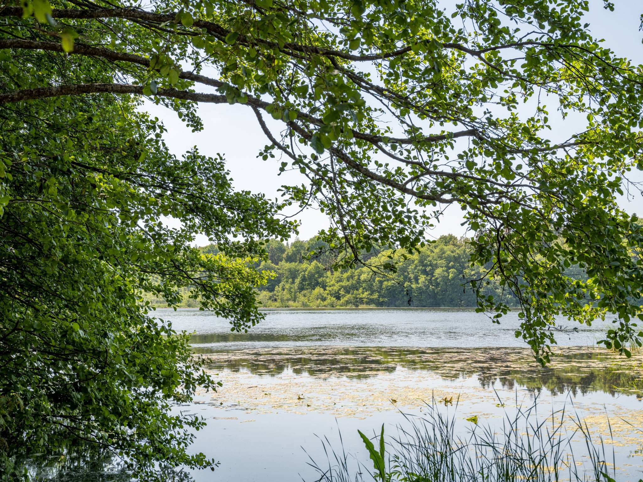 7 rum Villa på Tolvmansvägen 1 Norrviken Sollentuna kommun - bild 48