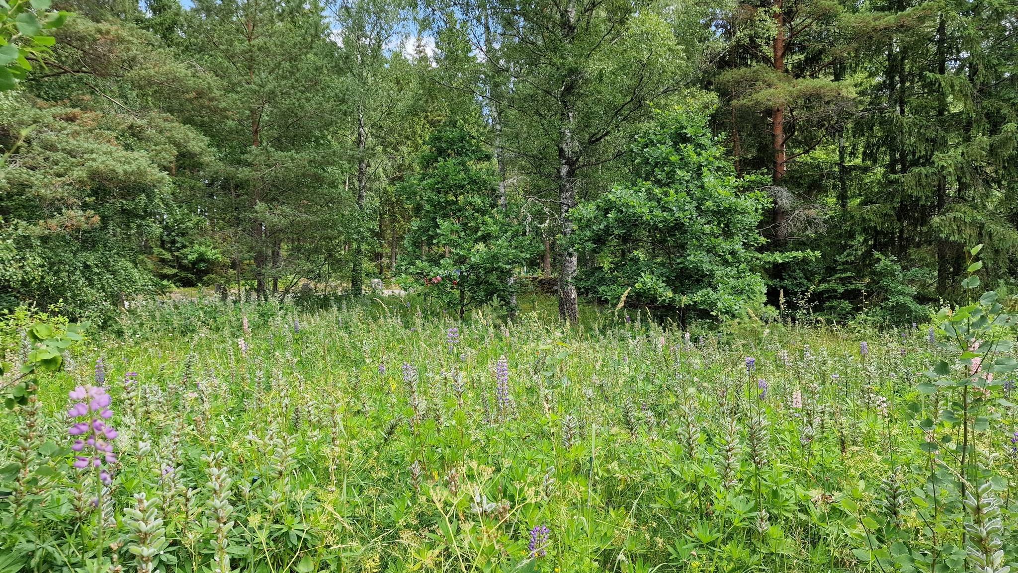 6 rum Fritidshus på Ledjavägen 46 Karlskrona kommun - bild 62