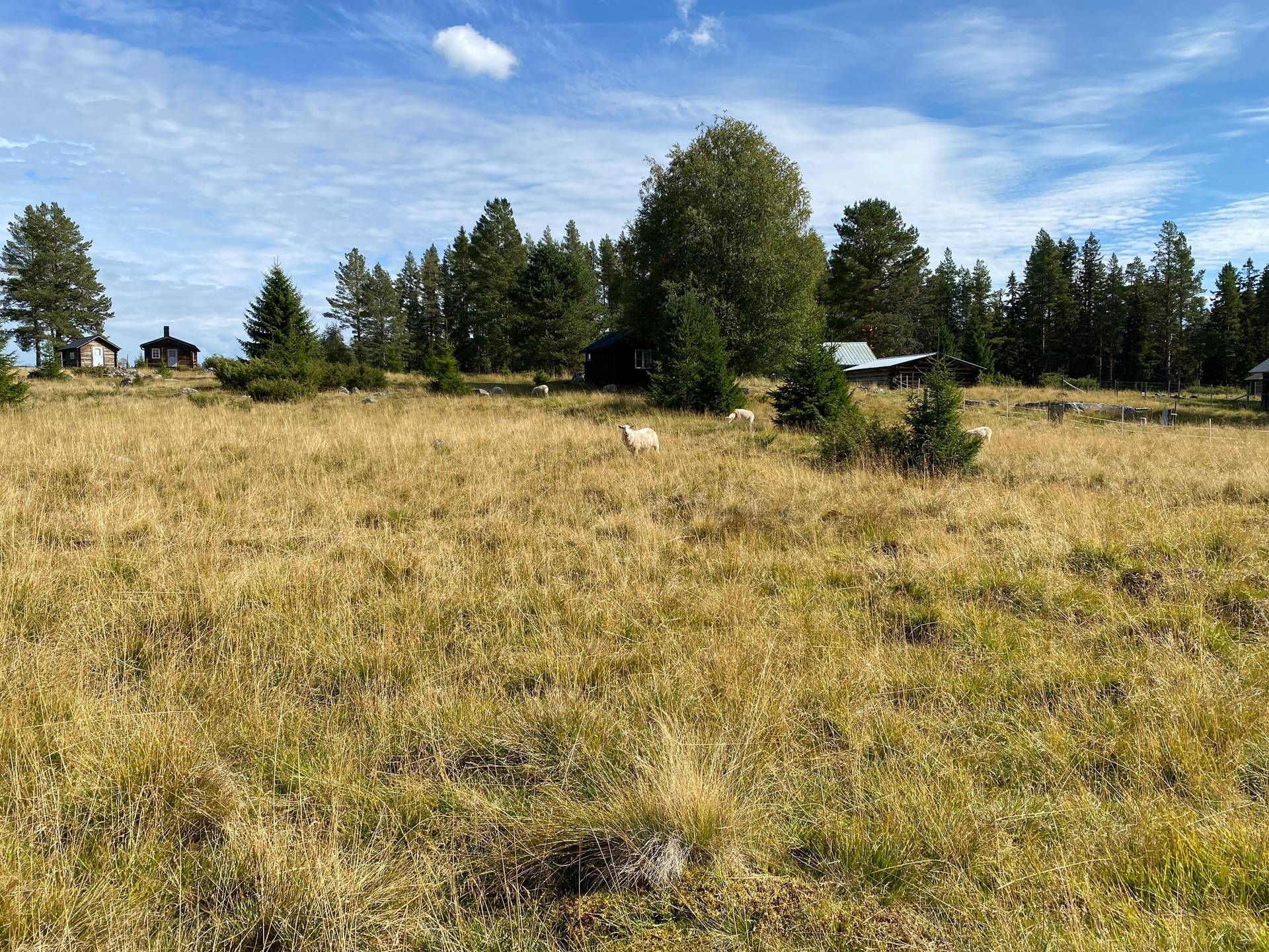 2 rum Fritidshus på Ransibodarna Ransibodarna - Glyfjärden Älvdalens kommun - bild 37