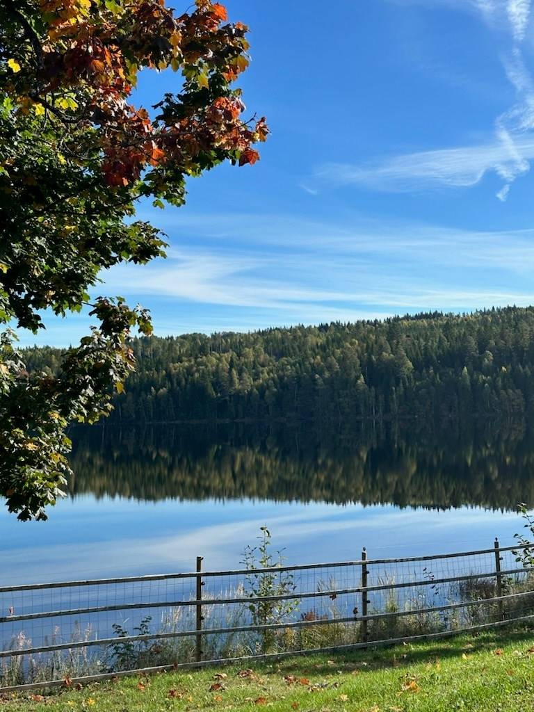 175 m² Villa på Sundet 110 Sundet Ljusnarsbergs kommun - bild 4