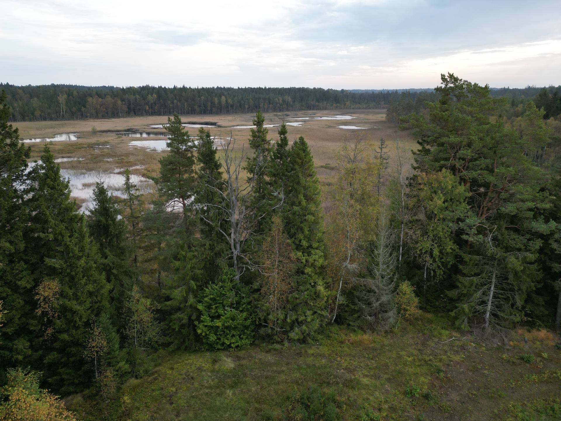Gård med jordbruk på Yttrebo 107 Hylte kommun - bild 14