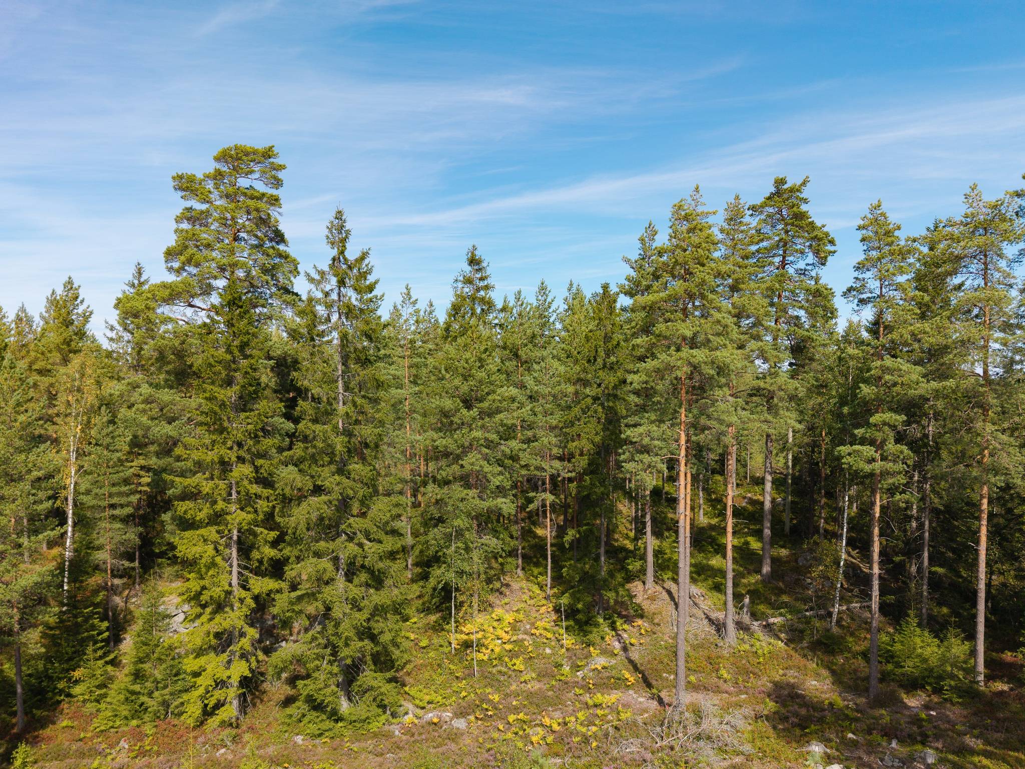 Gård med skogsbruk på Isåsen Askersunds kommun - bild 14