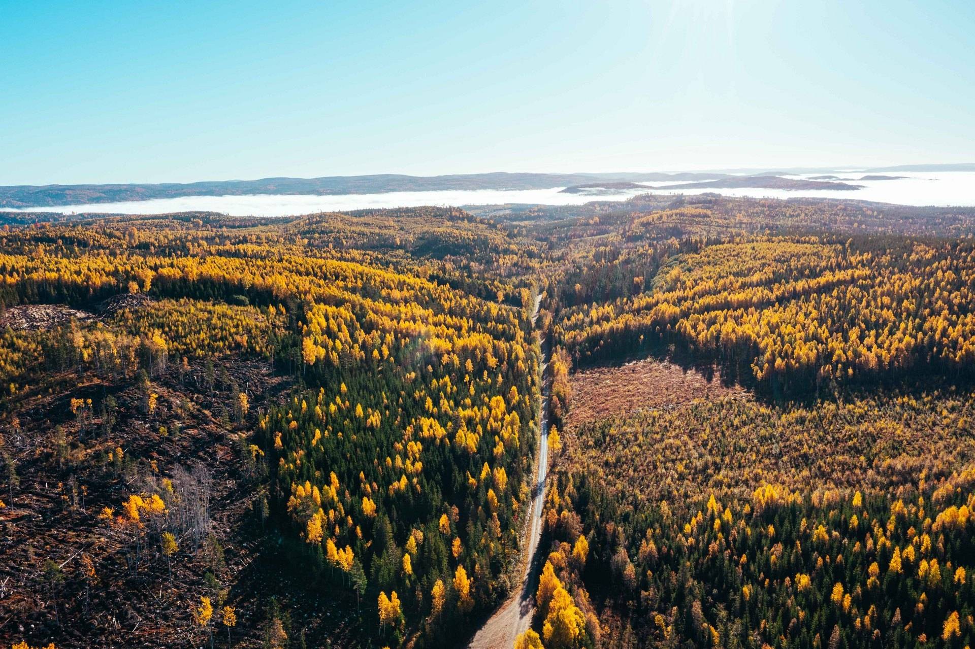 Gård med skogsbruk på ÅNGE BACKEN 4:20 Ånge kommun - bild 13