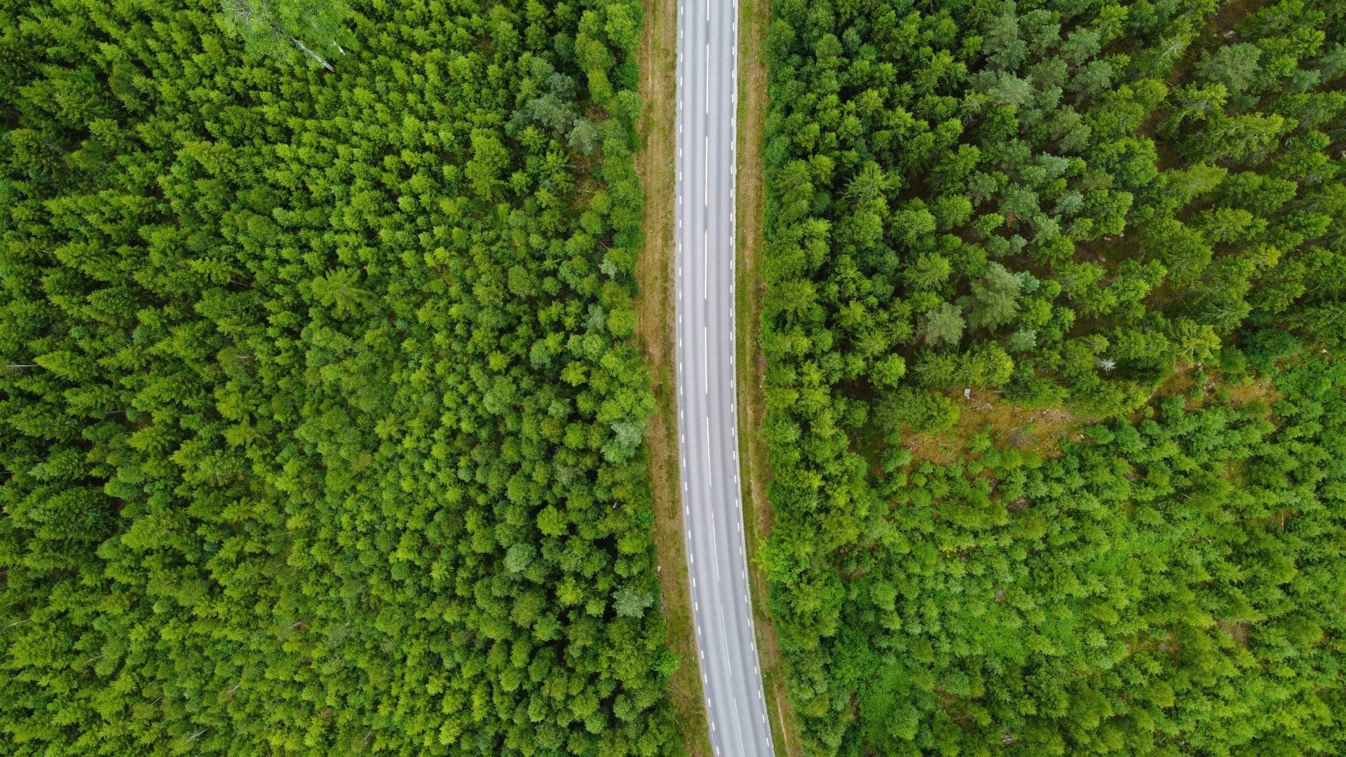 Gård med skogsbruk på Välarronderad jord- och skogsfastighet Stålared Tranemo kommun - bild 3