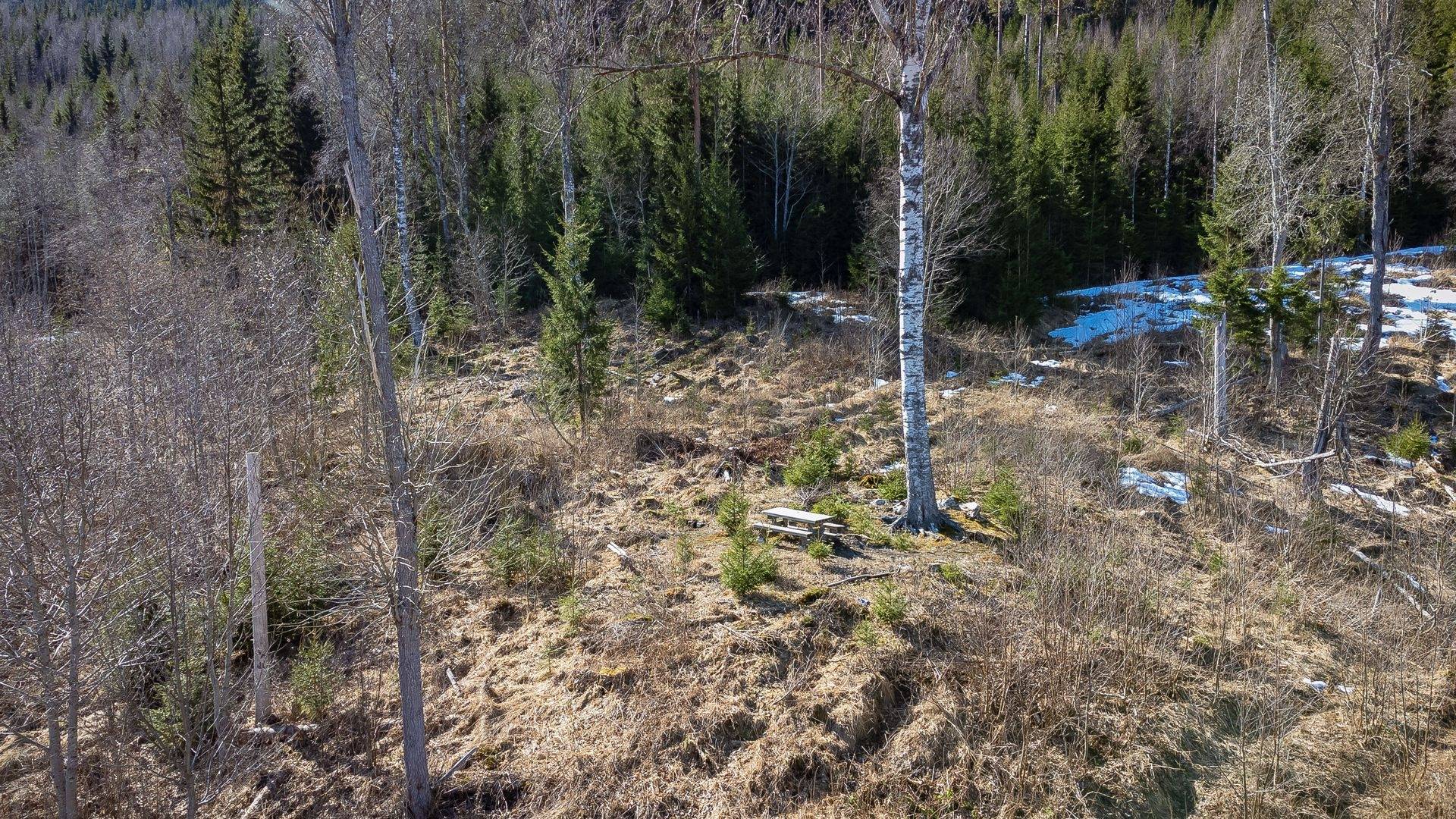 Gård med skogsbruk på Sillre 4:7 Liden Sundsvalls kommun - bild 4